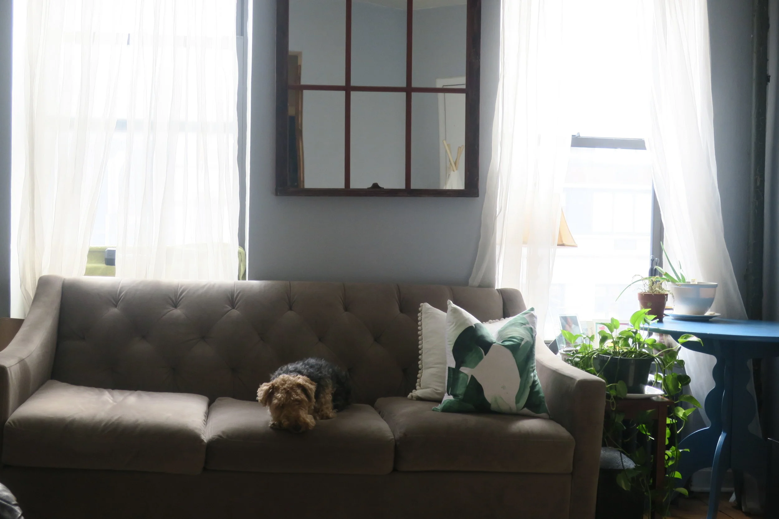  Bessy's favorite spot in the mornings. 