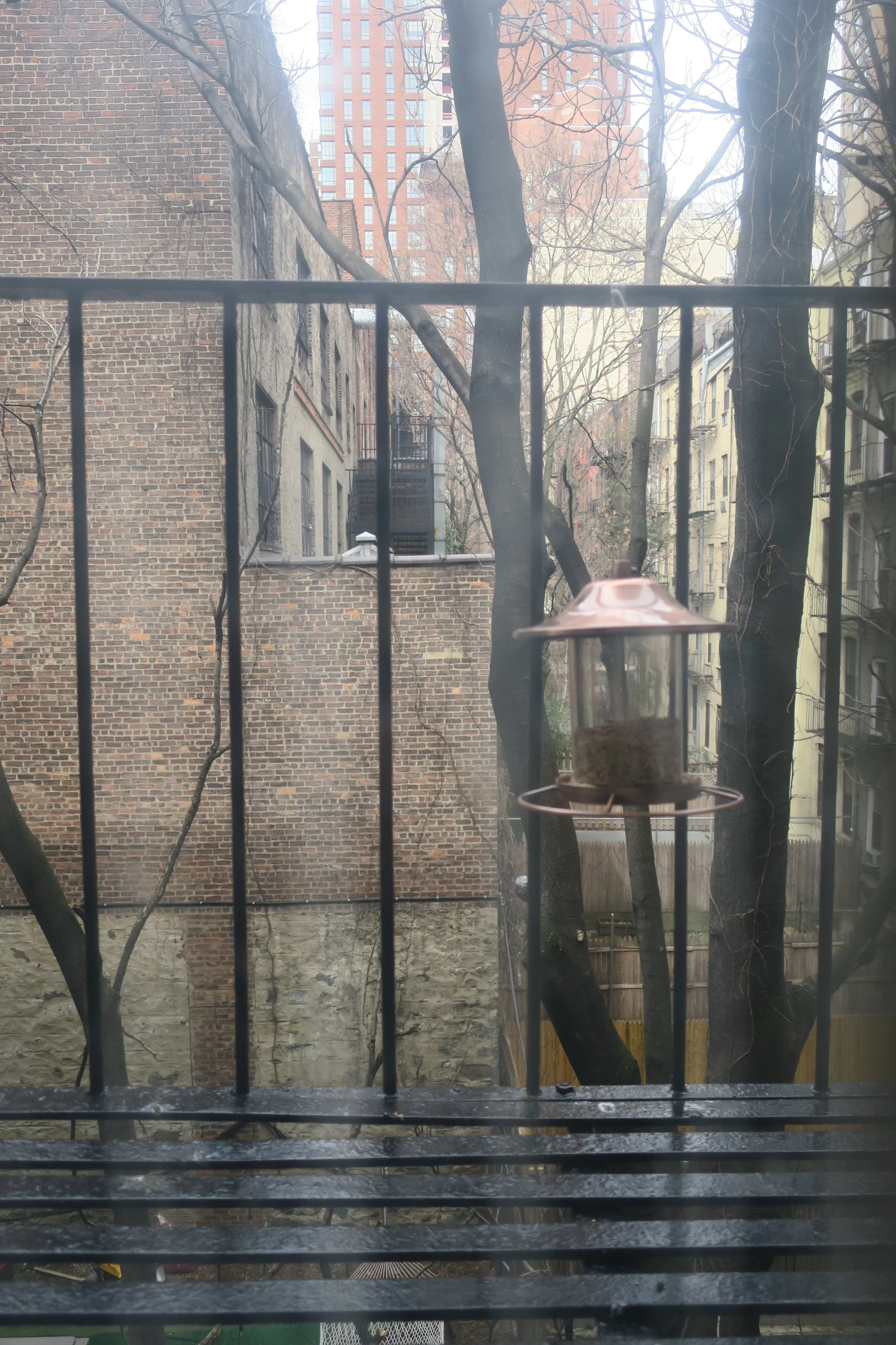  Bird feeder outside our window. We wake up to doves hooting some mornings. 