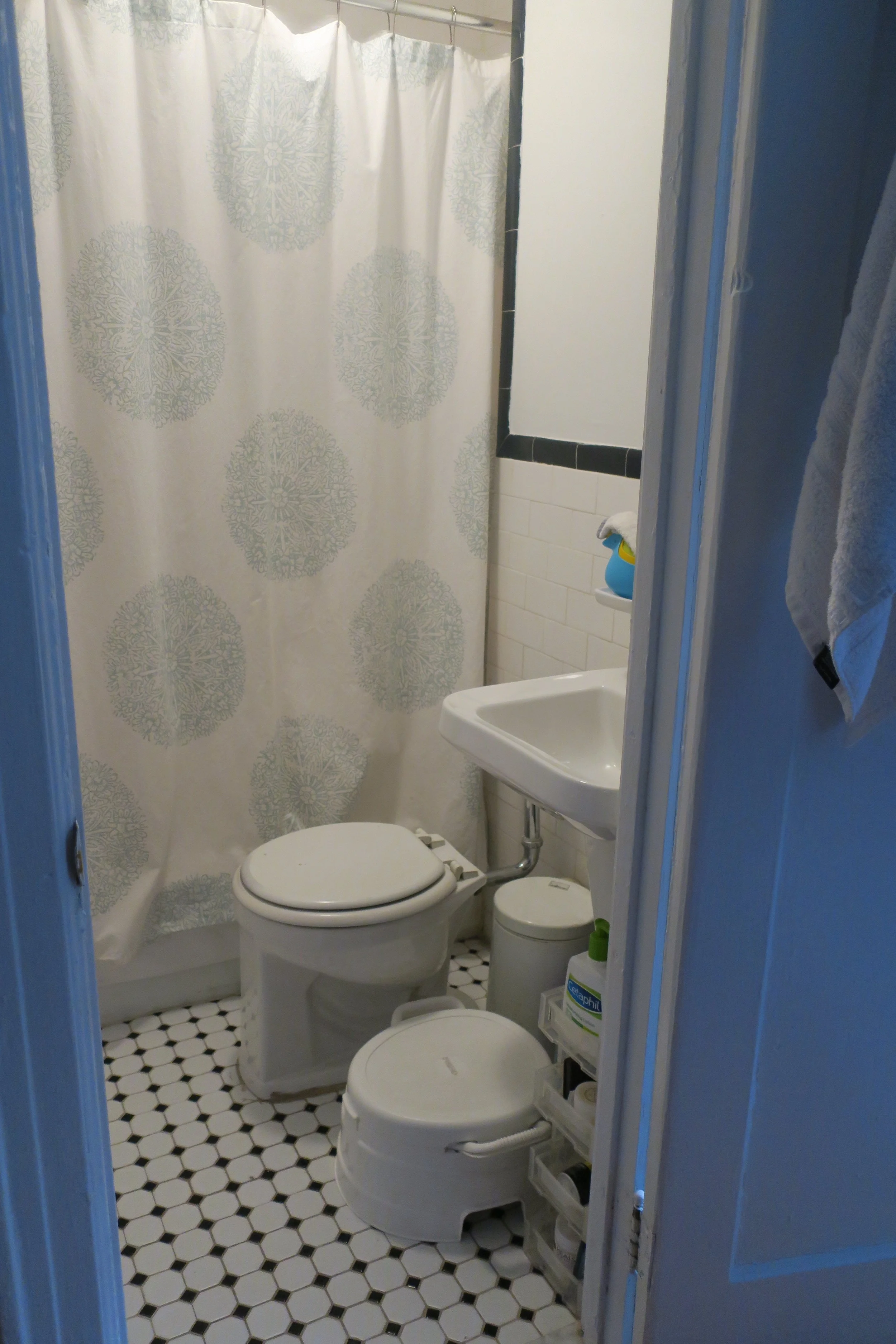  Teeny tiny bathroom, with a "Big Potty" and a "Little Potty". Rob was asking why I wanted to show this, and I say, well the title of the post  is  NYC Apartment with a Toddler. LOL!  