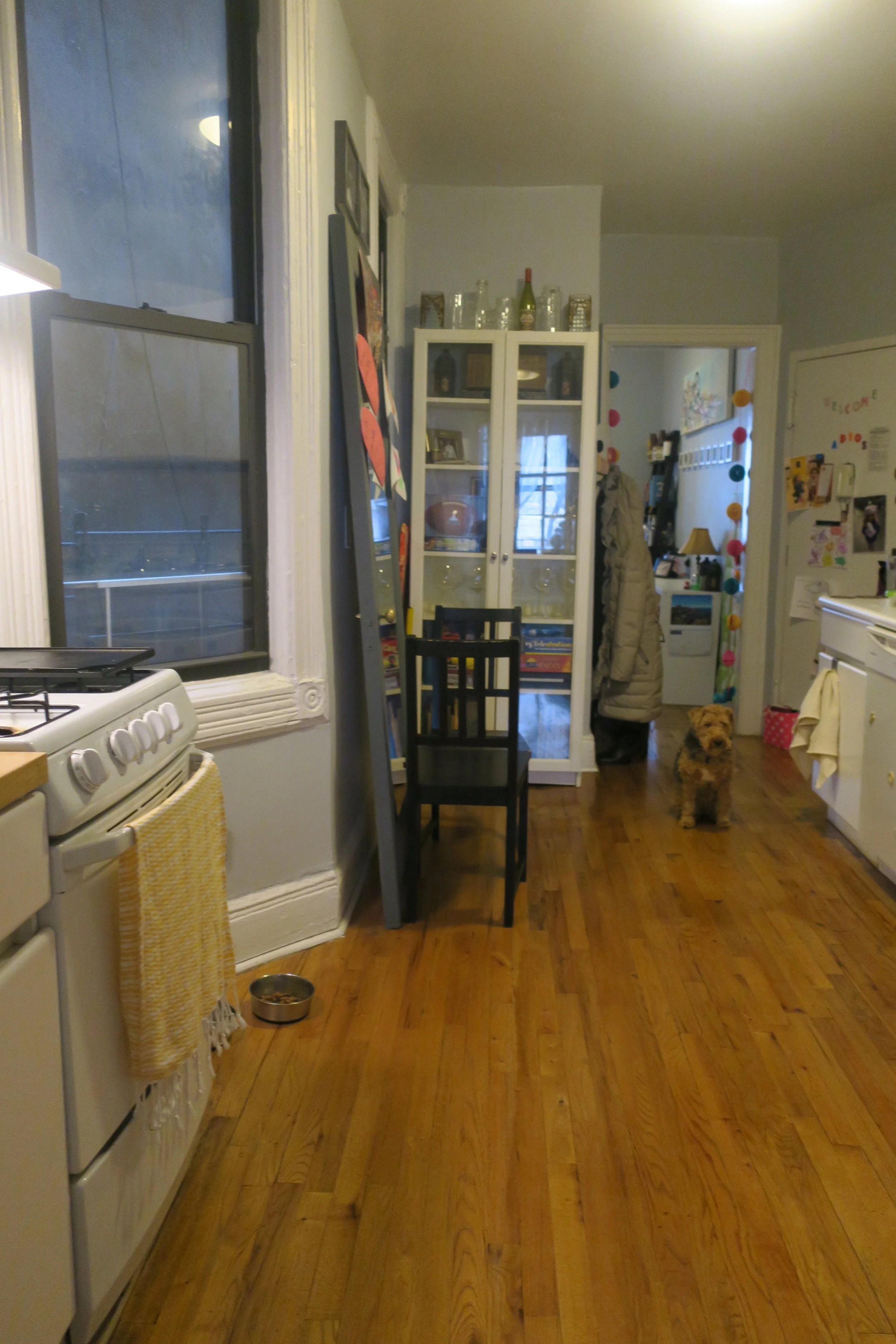  View from our bedroom toward the kitchen and entrance. (Bess followed me around while I took all of these pictures. What a model.) 