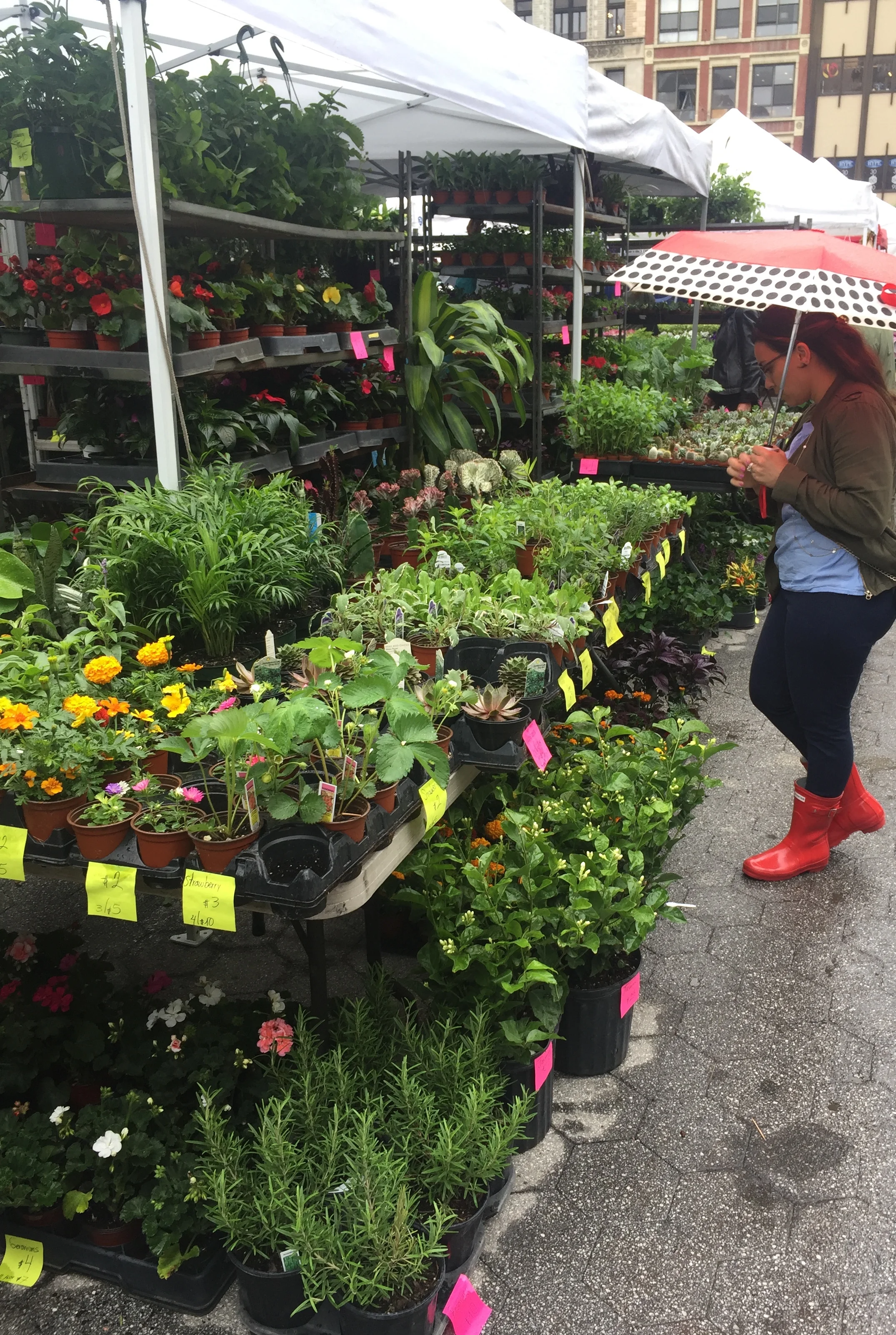 The next day we enjoyed a midweek date day and went to a farmers market where I was able to pick up some more plants. Yay! 🌱 