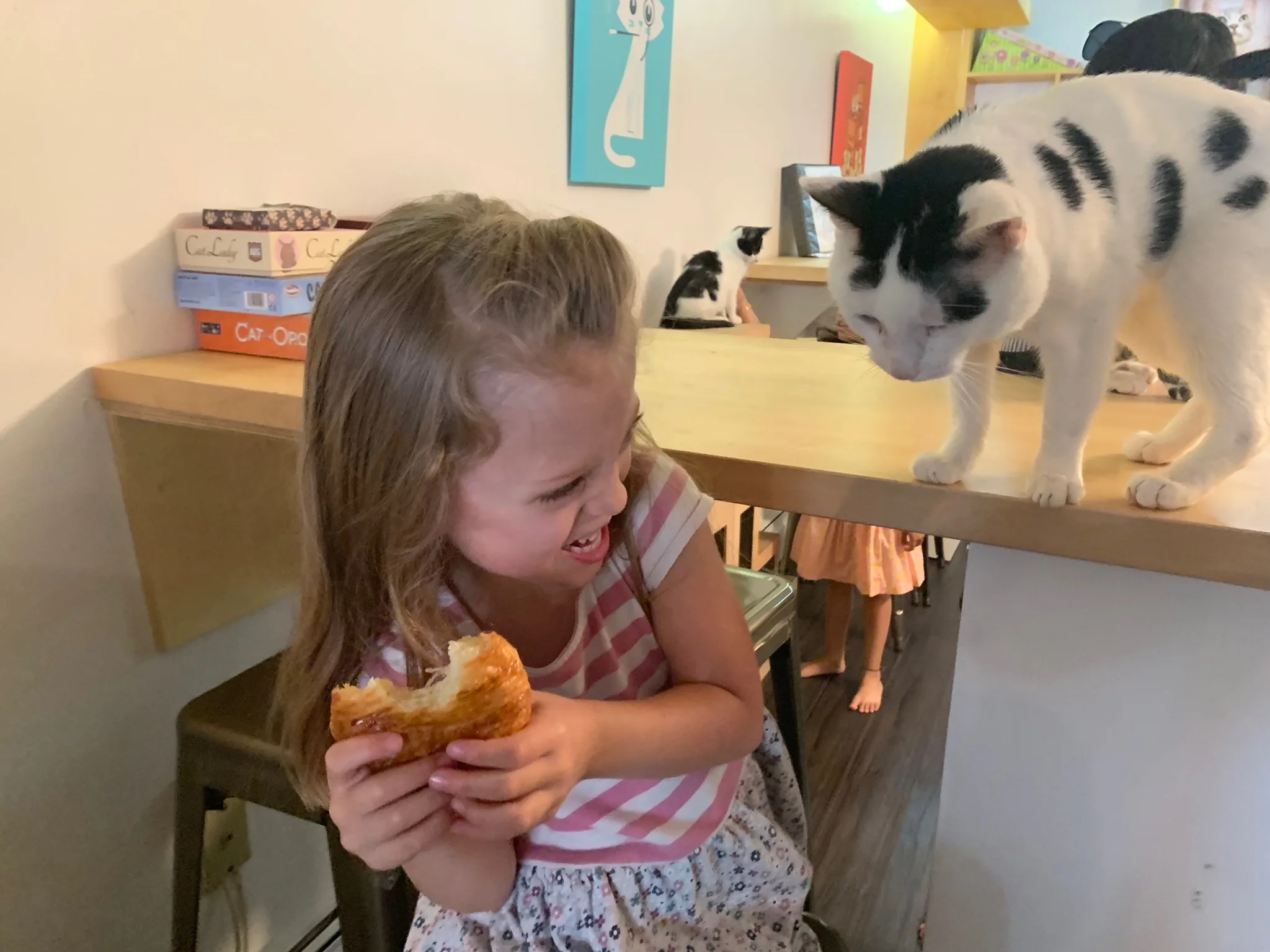 This cat really wanted to share Lucie’s snack with her.