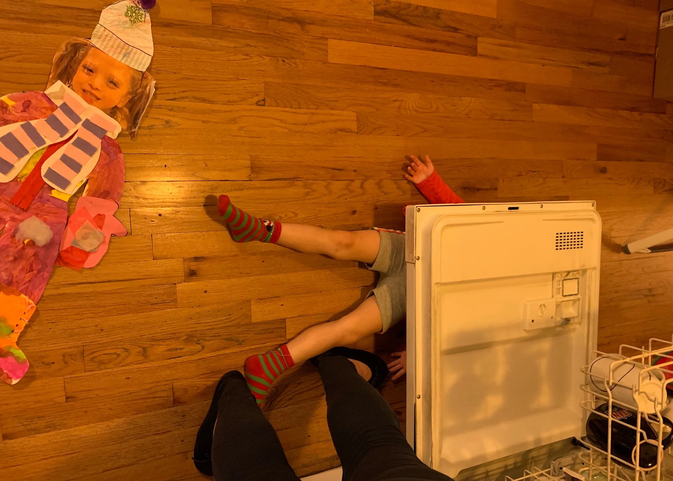 What’s Lucie doing in winter clothes in the middle of summer? Oh wait, that’s not the real Lucie... the real Lucie decided to hide under the dishwasher door. She is the silliest.