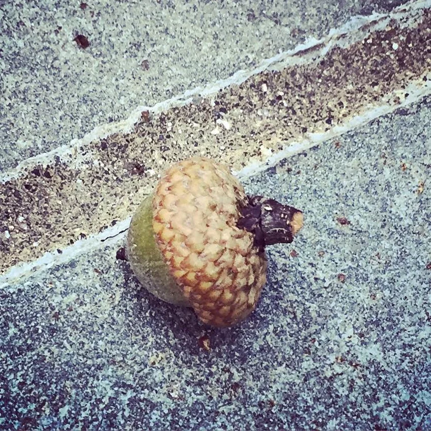 Guidepost for Wholehearted Living #2