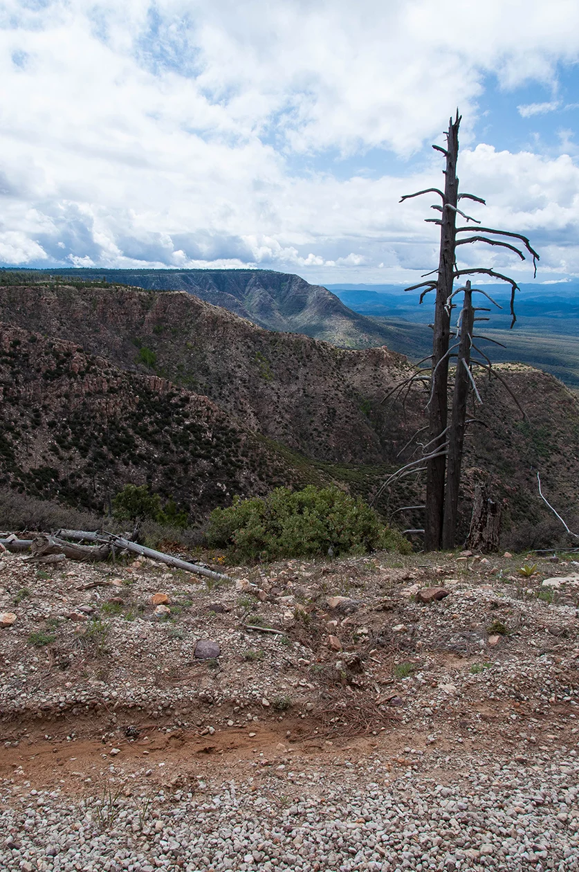 A view from the driver's window. It is the Old Rim Road and sometimes it is literally on the edge of the rim.
