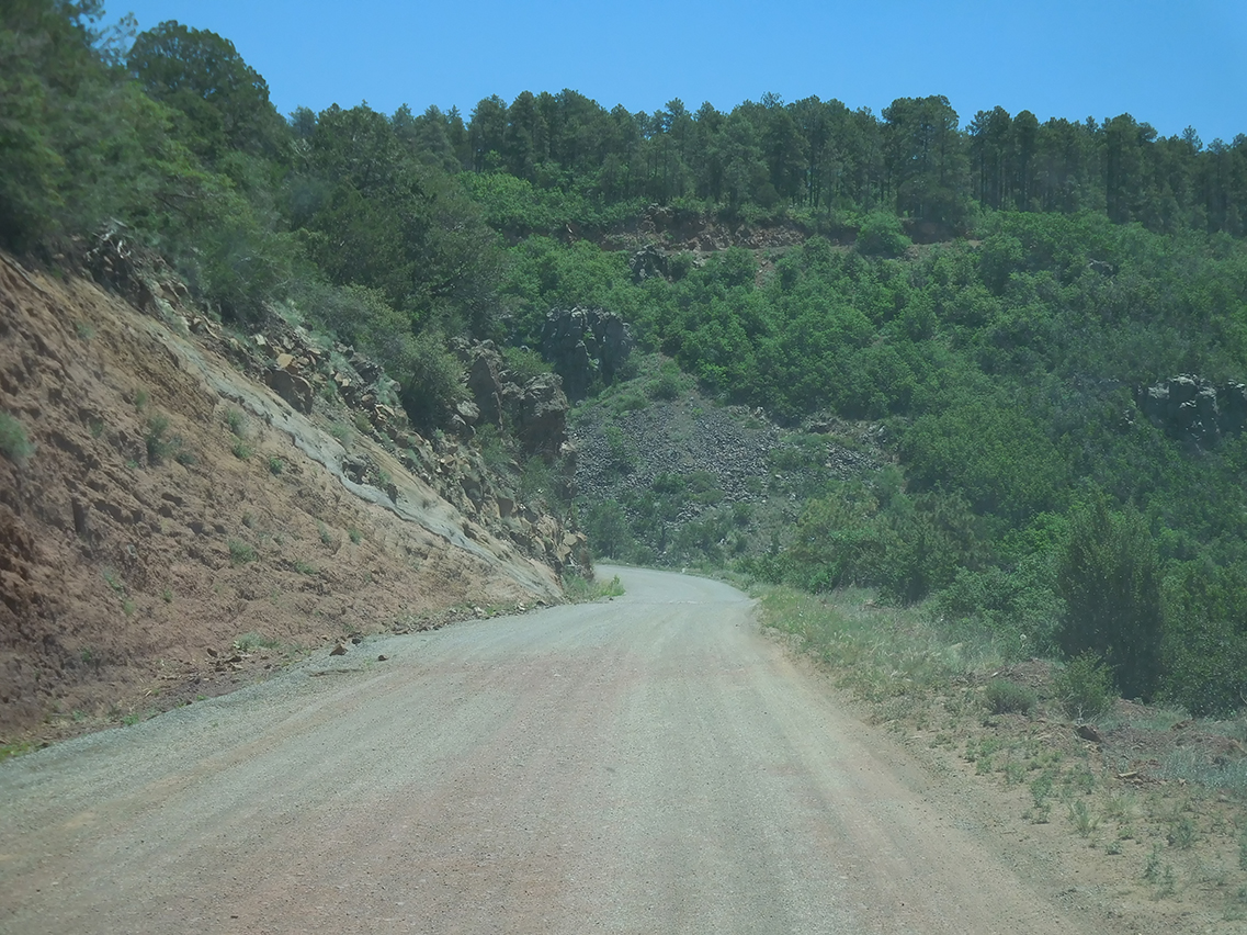 Joni captures the gravel road up Mingus Mountain