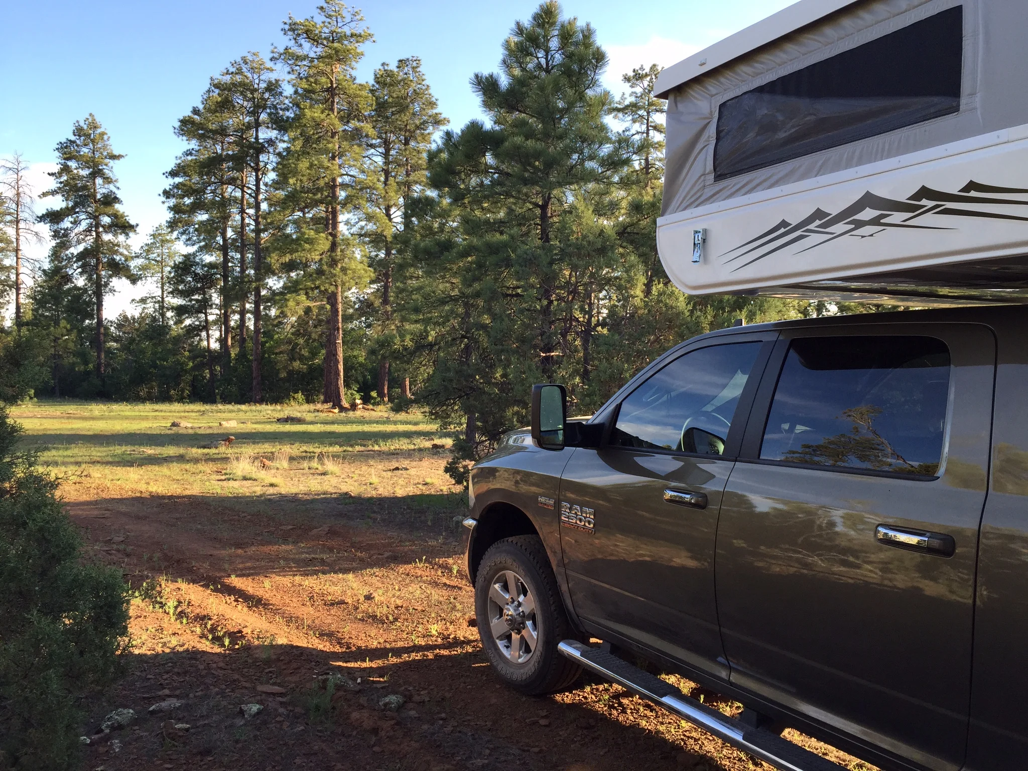 Our beautiful campsite in the Kaibab National Forest