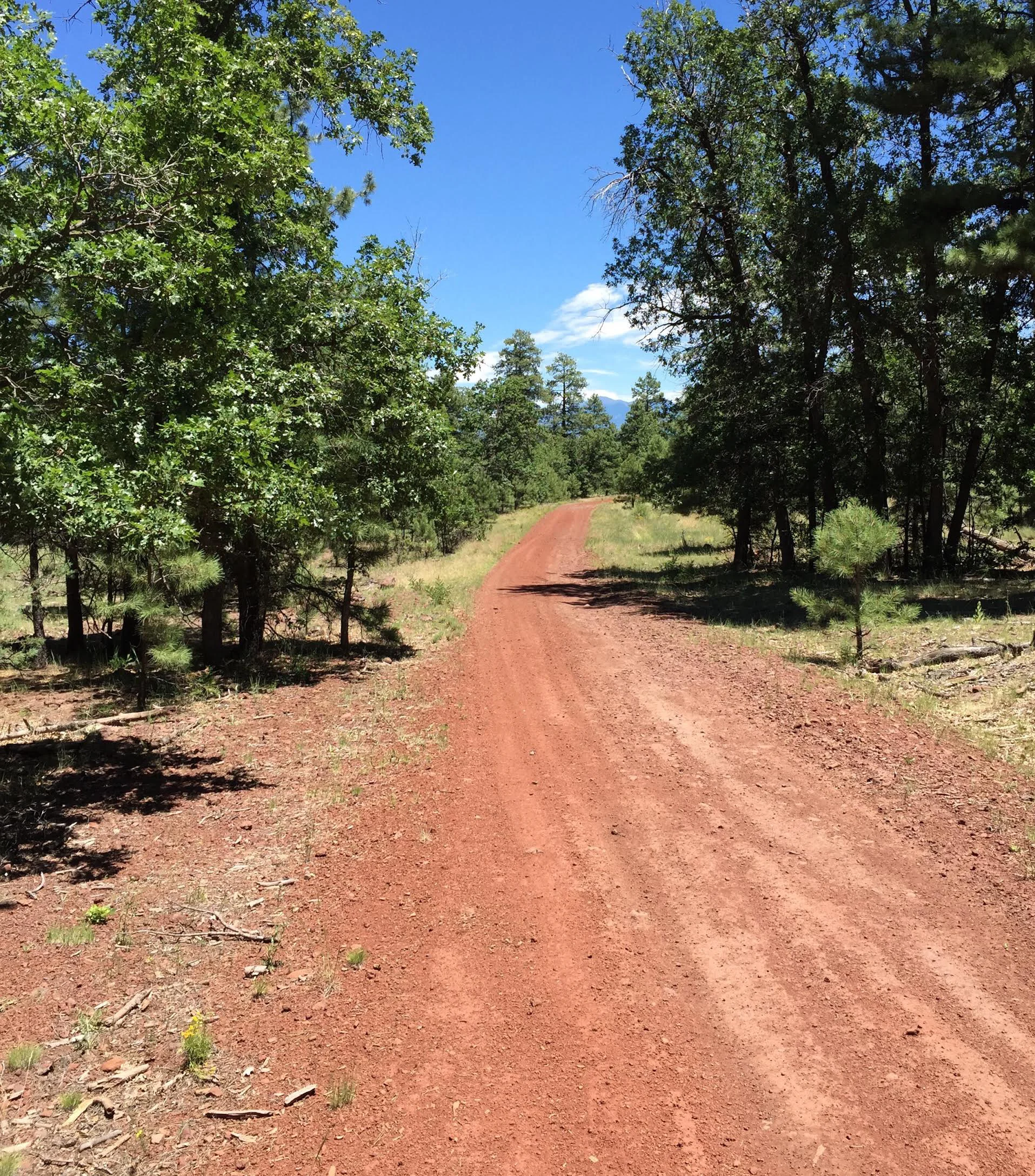 Dirt road through the forest with mountains and clouds in the distance.