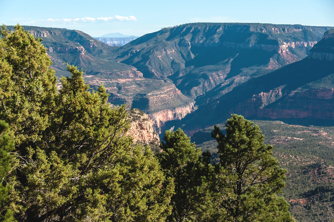 View of Crazy Jug Canyon and Mauv Saddle. The formation beyond Mauv Saddle is the South Rim. We aren't sure what the mountains are beyond the South Rim.