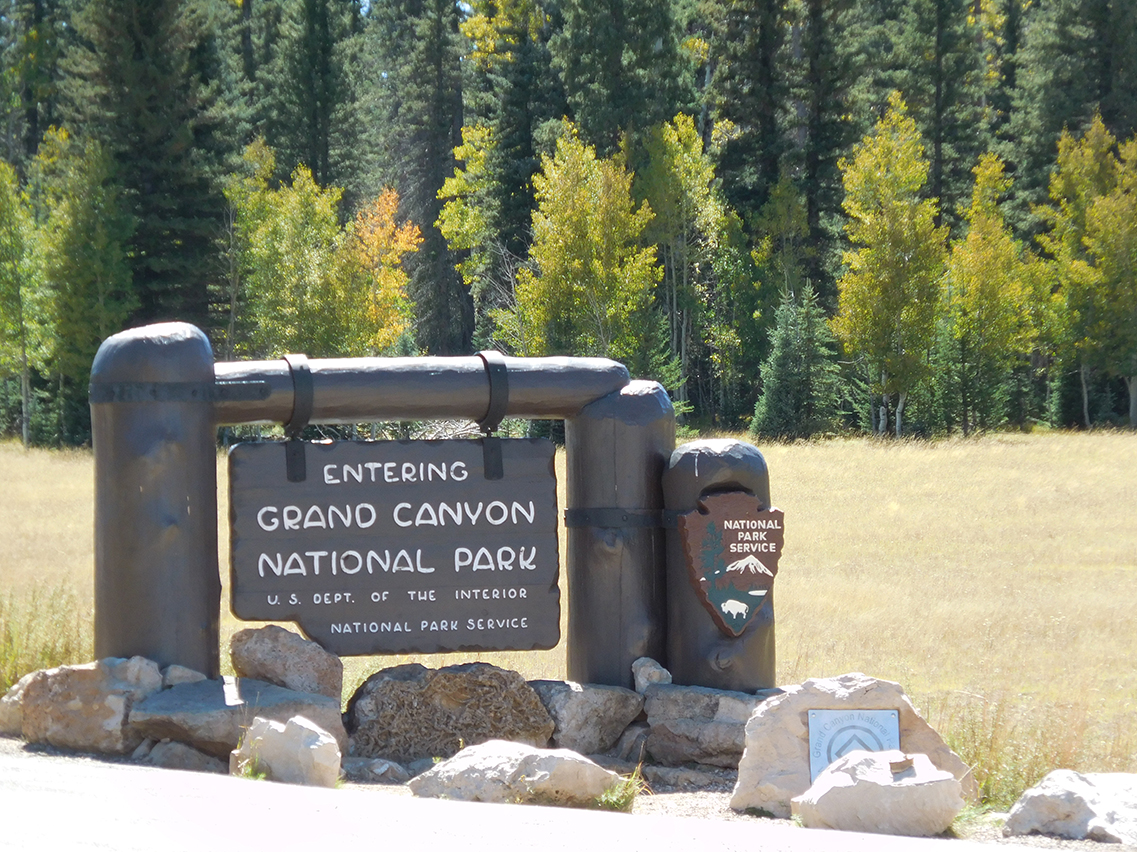 8,800 feet elevation here.