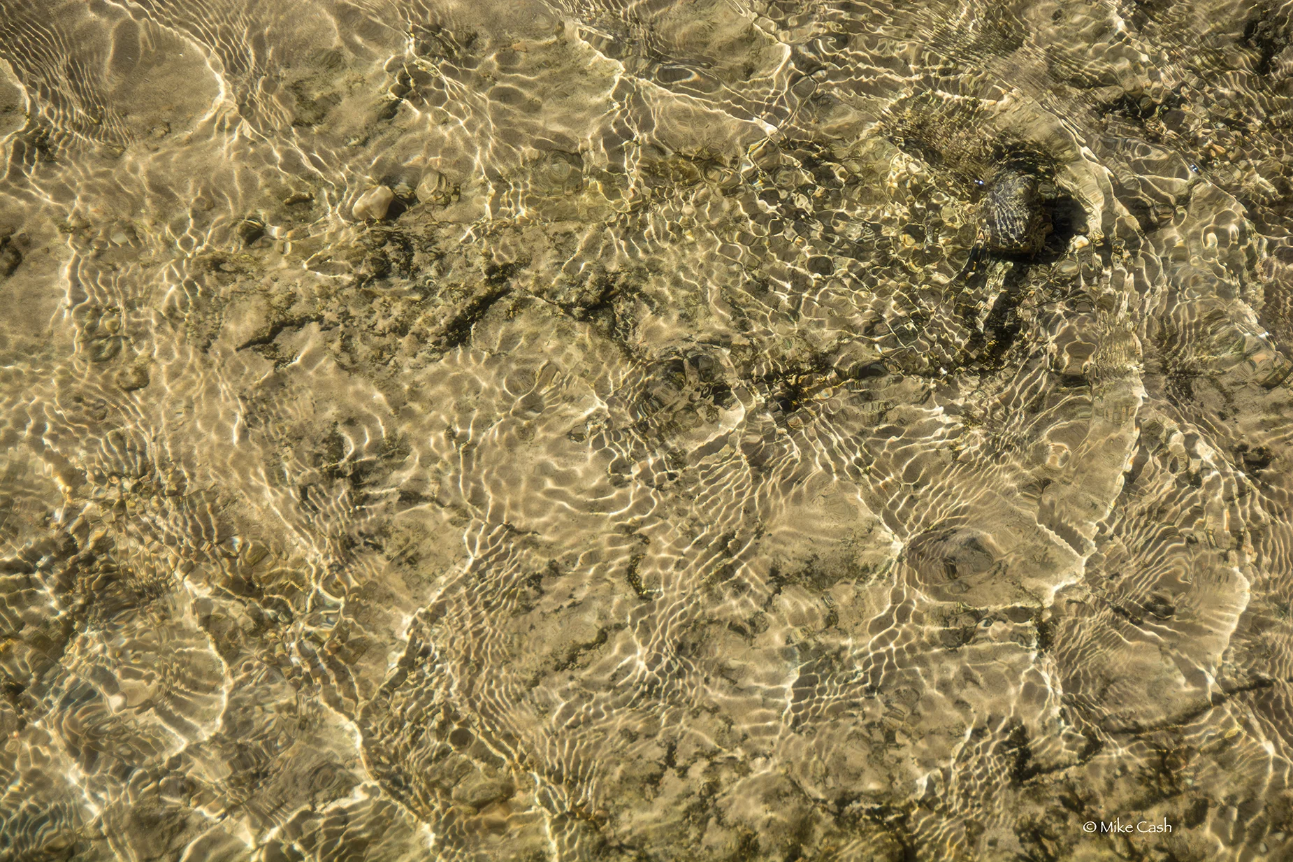 Patterns in Salt Creek