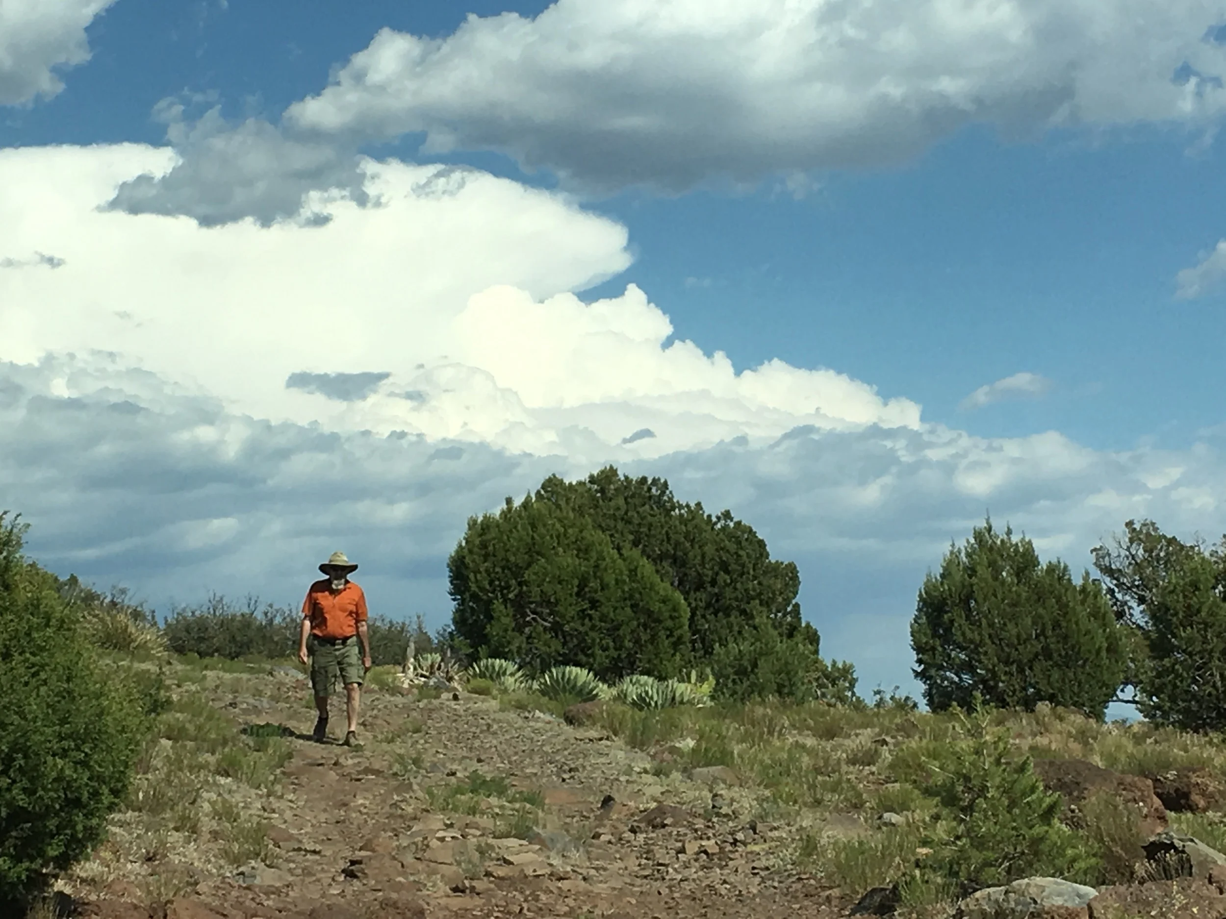 Scouted ahead on foot.