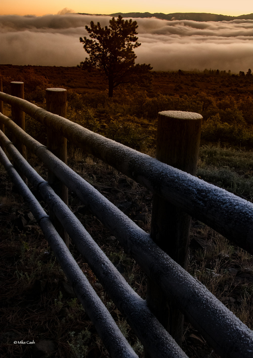  Fog over Ridgeway past an icy fence, 