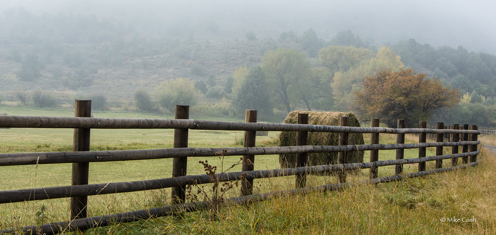  Fence and fog. 
