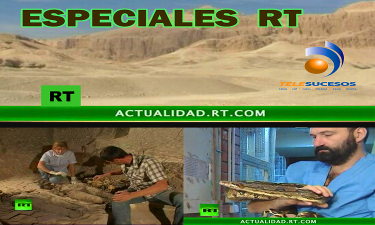 ESPECIALES+RT.png
