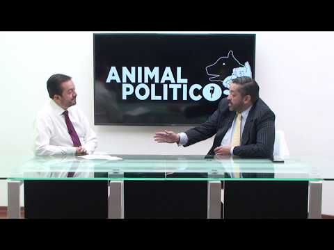 ANIMAL POLITICO INVITADO - RAMIRO GARCIA