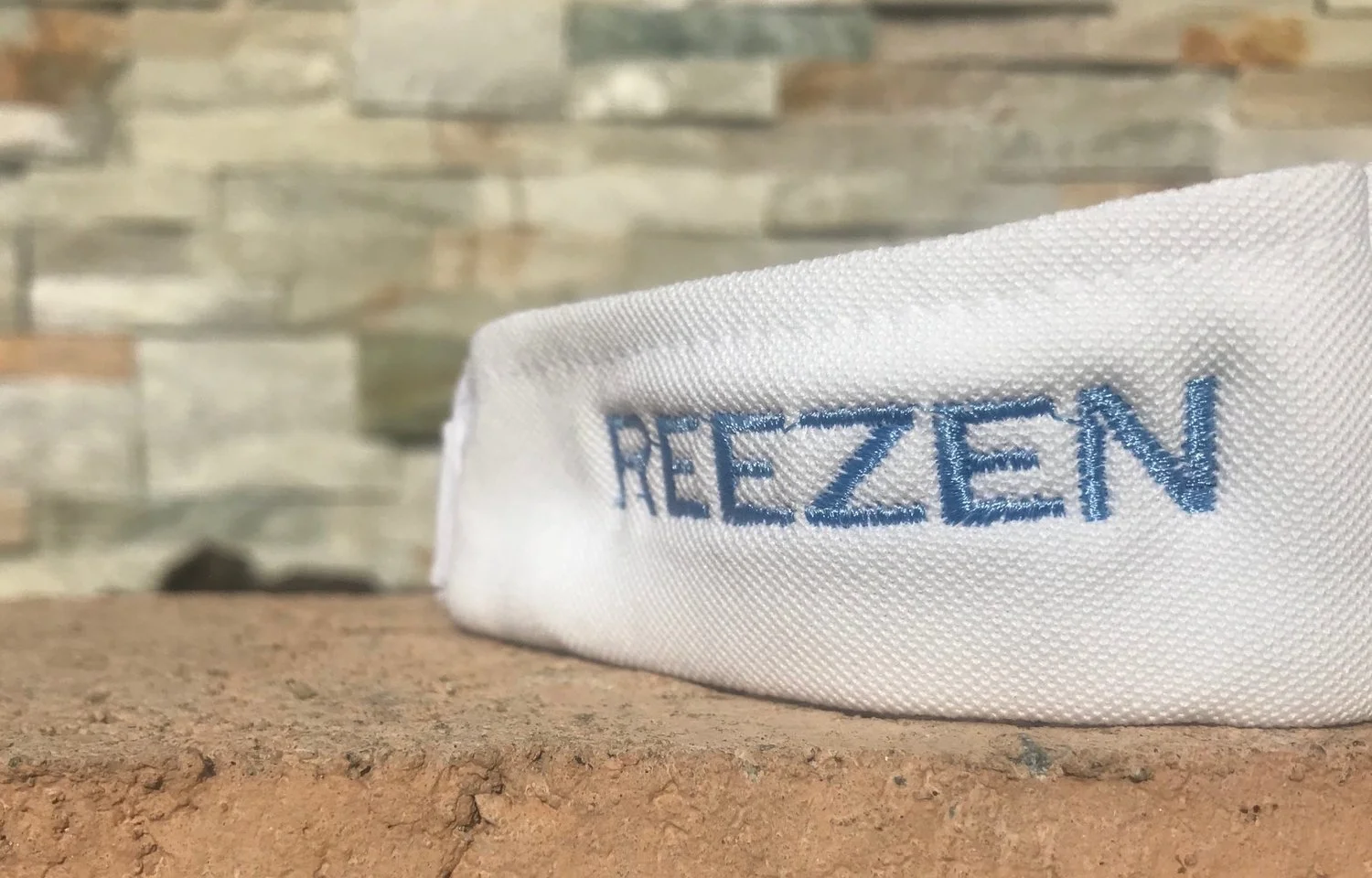 Visor-Sideview.jpg