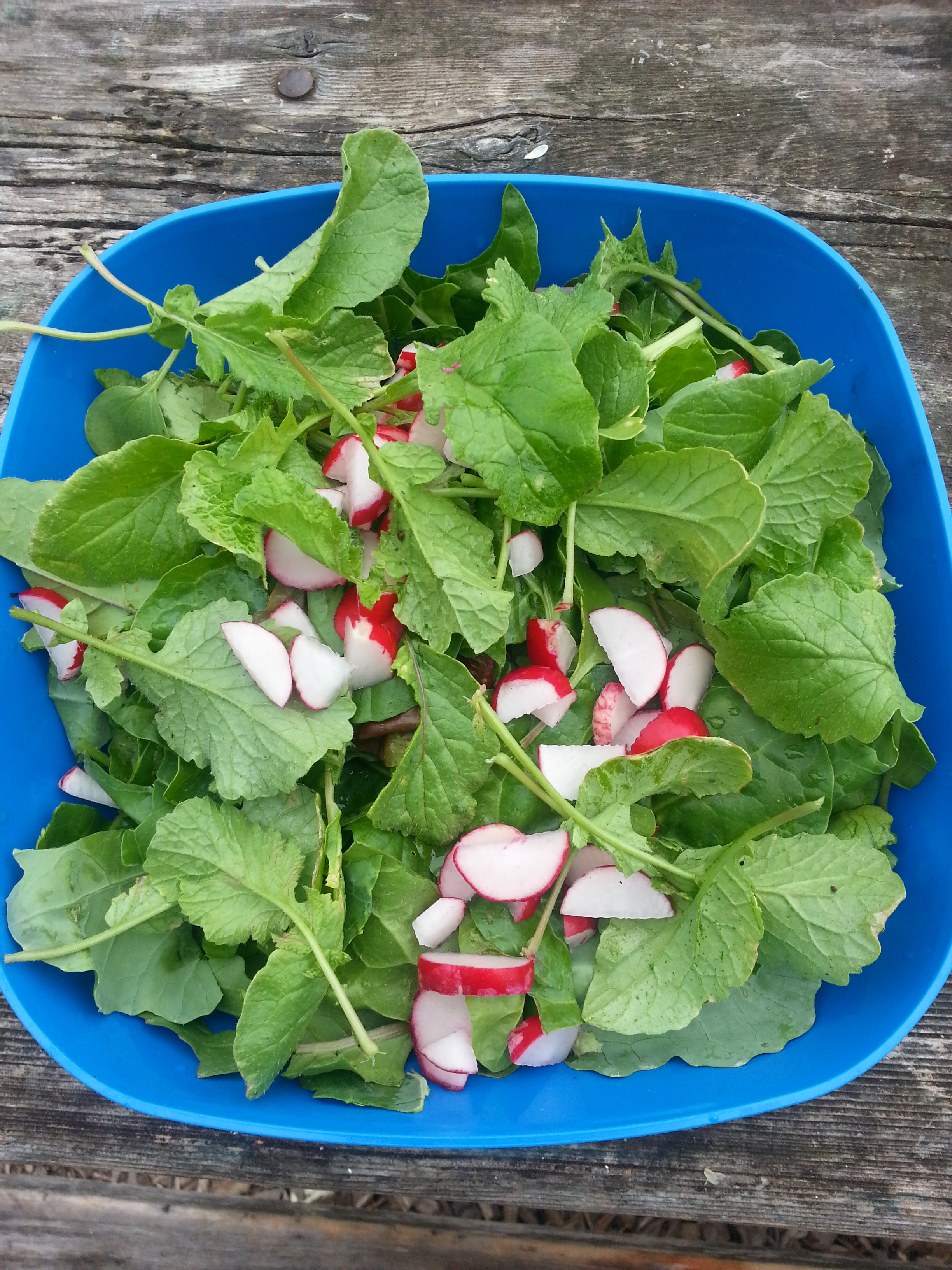 5th Grade Salad