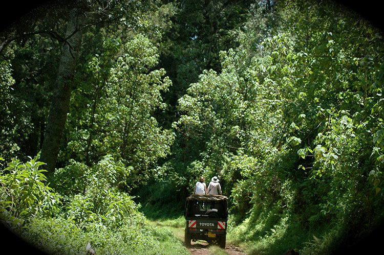 environment-mt-elgon.JPG