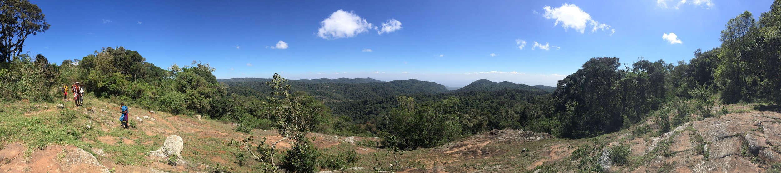 Loita Hills forest, on the Southwestern boundary of the Maasai Mara Reserve