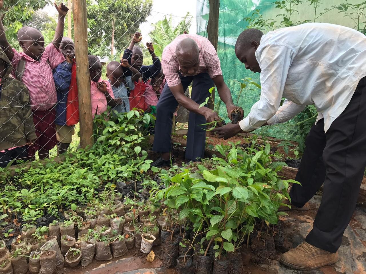 Tree nursery.jpeg