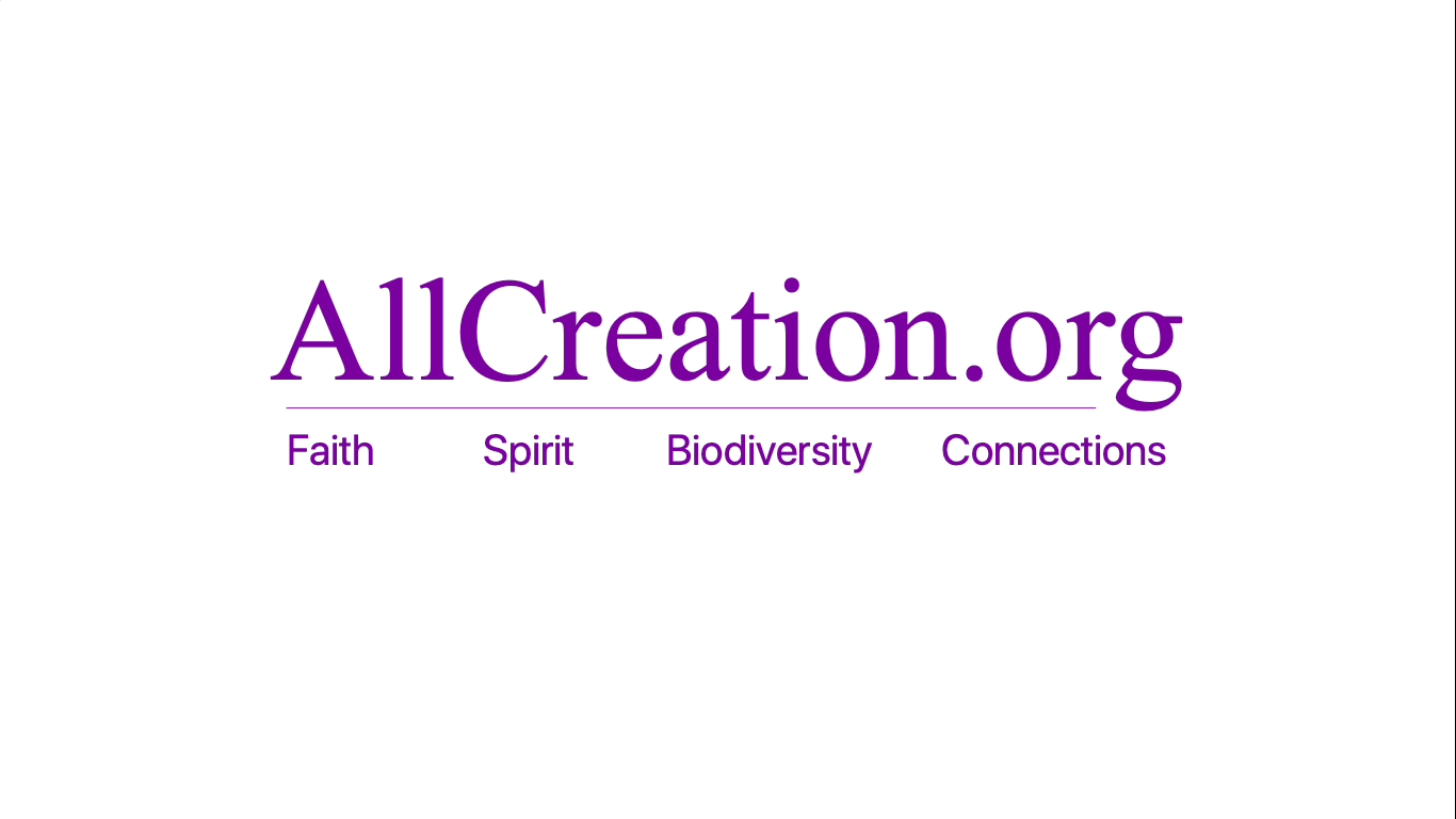 AllCreation logo 2022.png