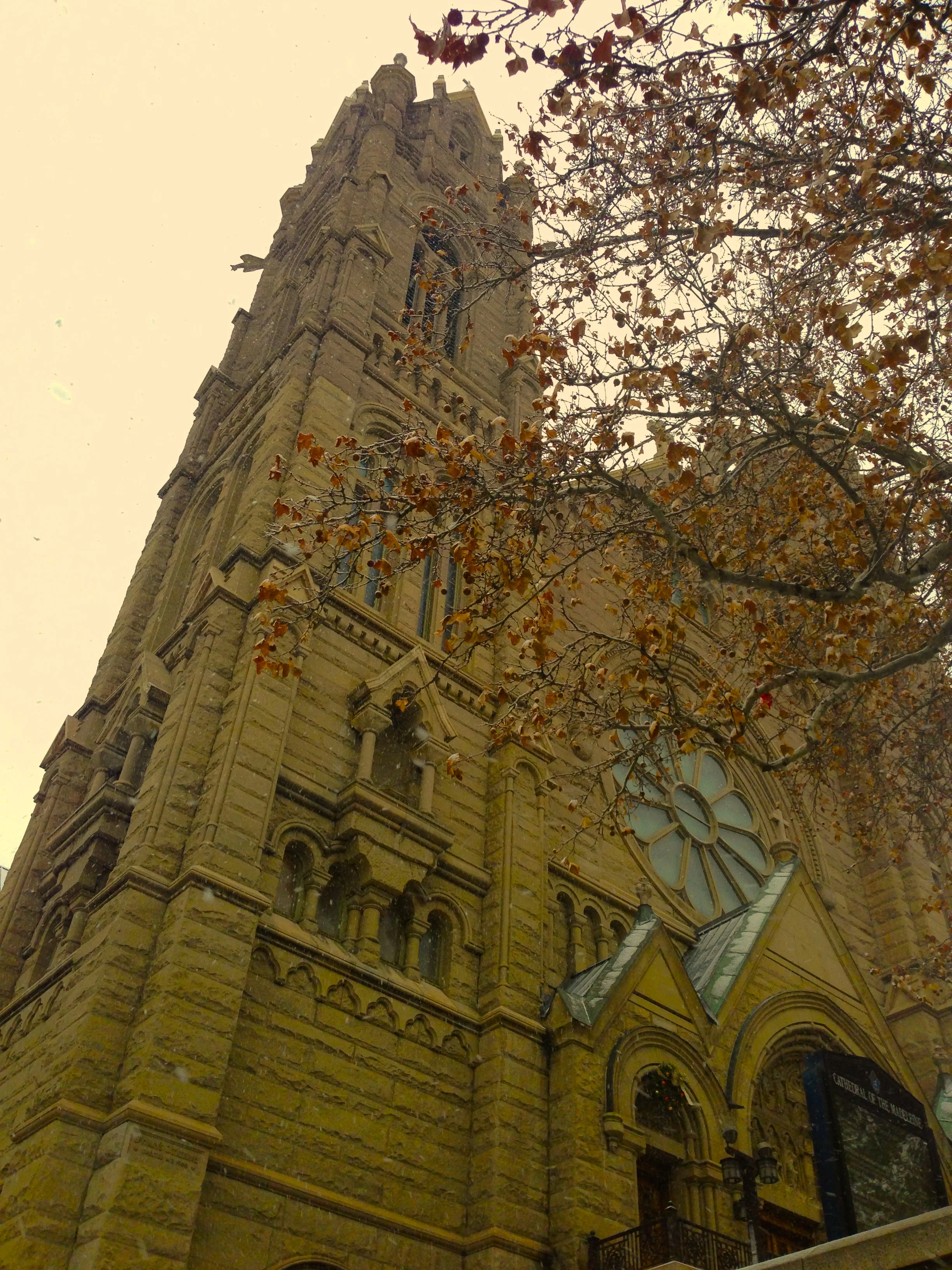 Cathedral of Madeleine (Salt Lake City)