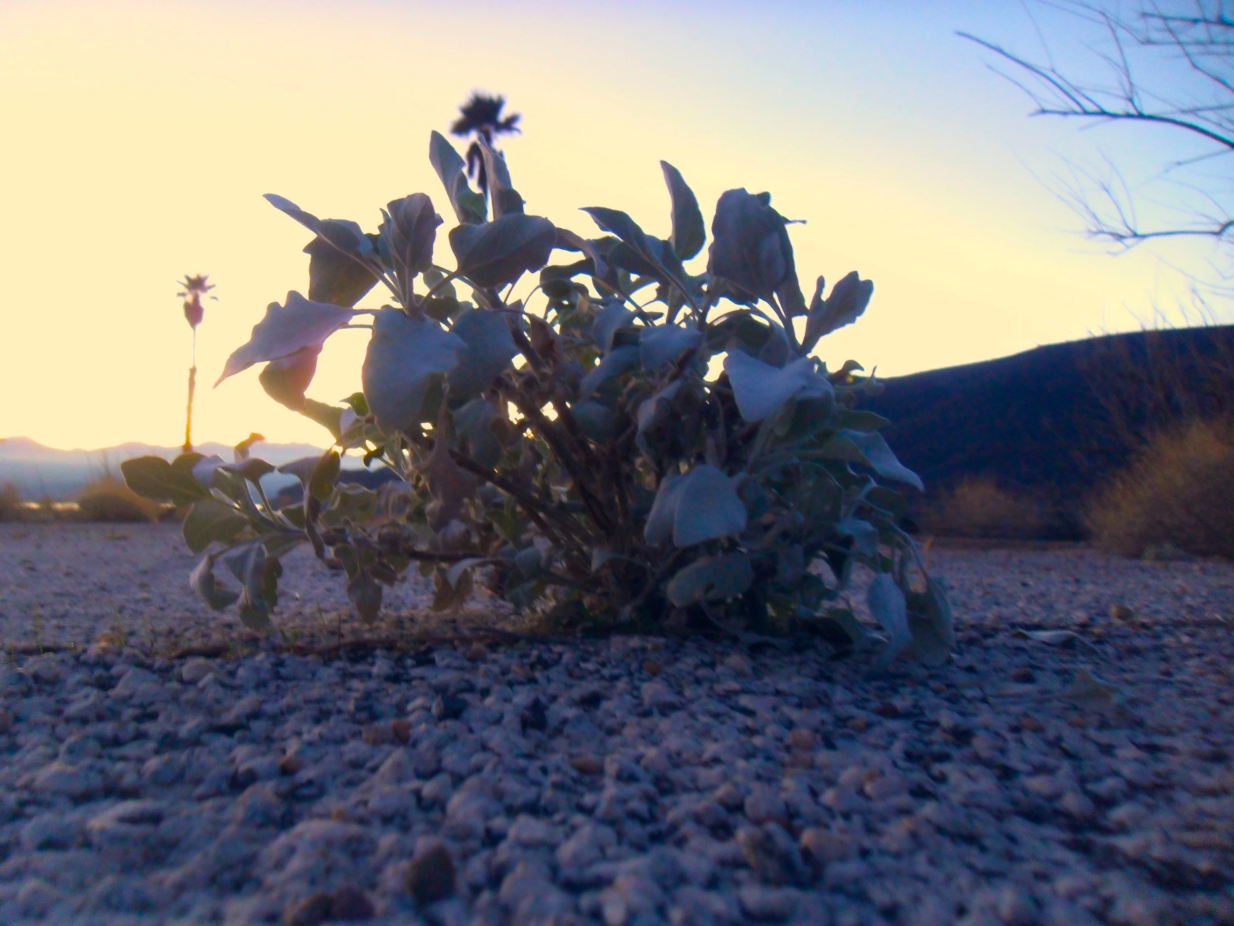 SAM_3085 - Version 2.JPG