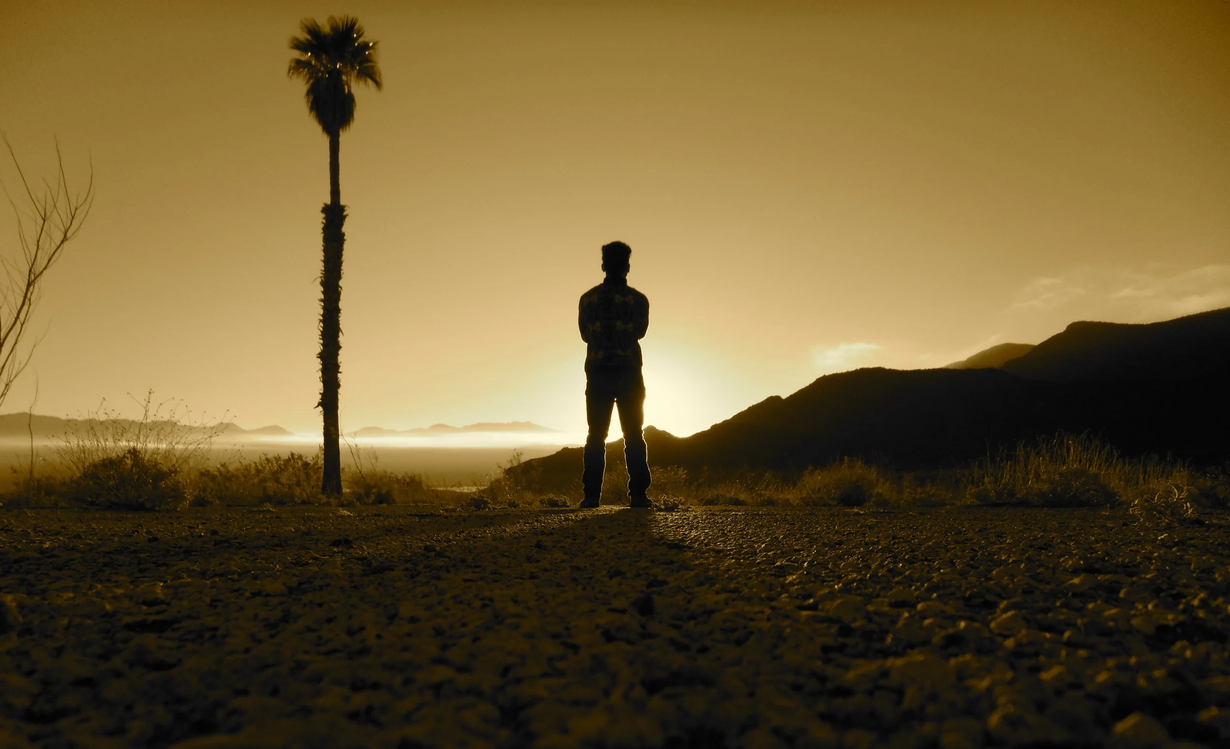 SAM_3106 - Version 2.JPG