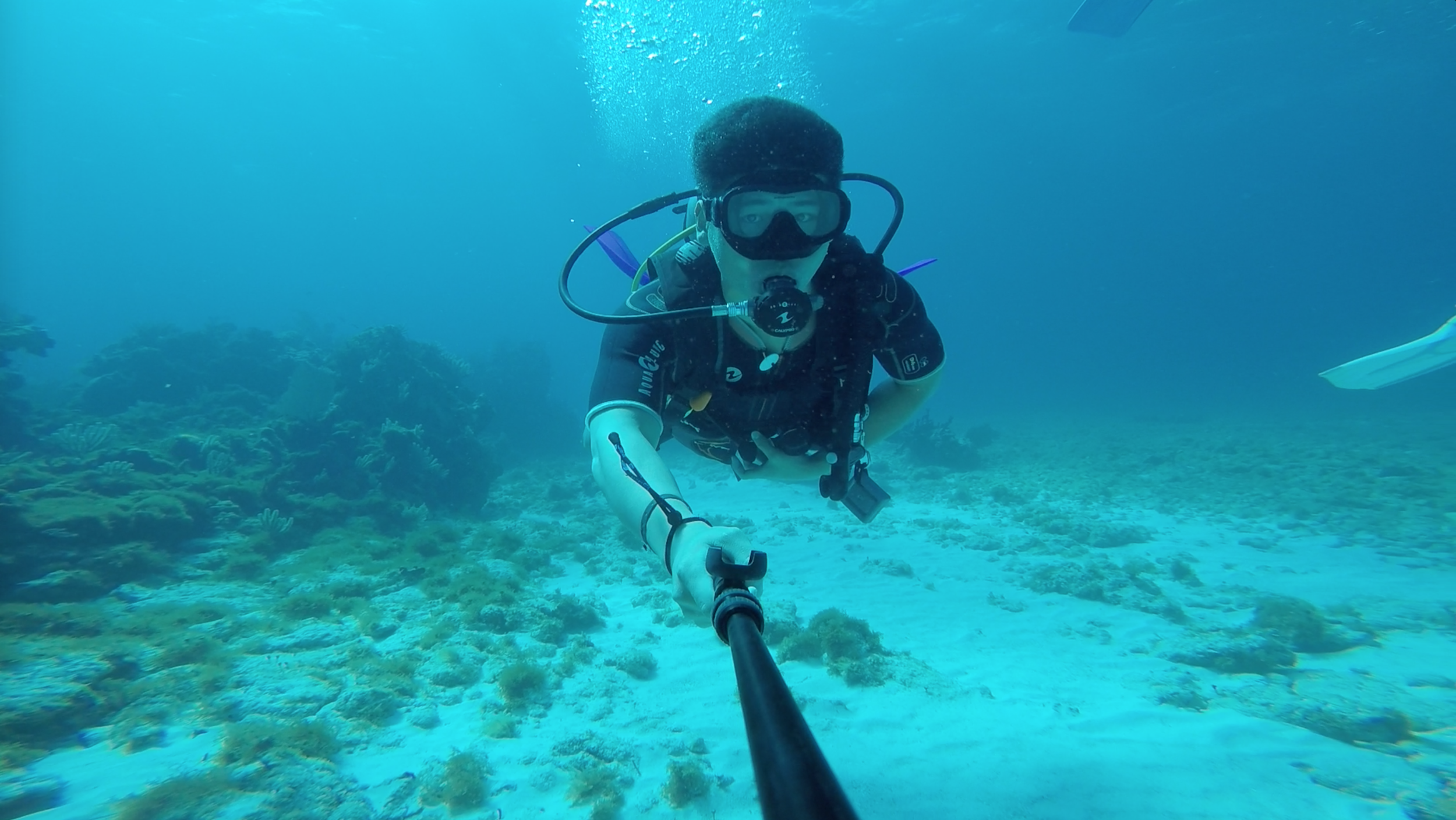 Screen Shot 2015-03-26 at 1.09.46 PM.png