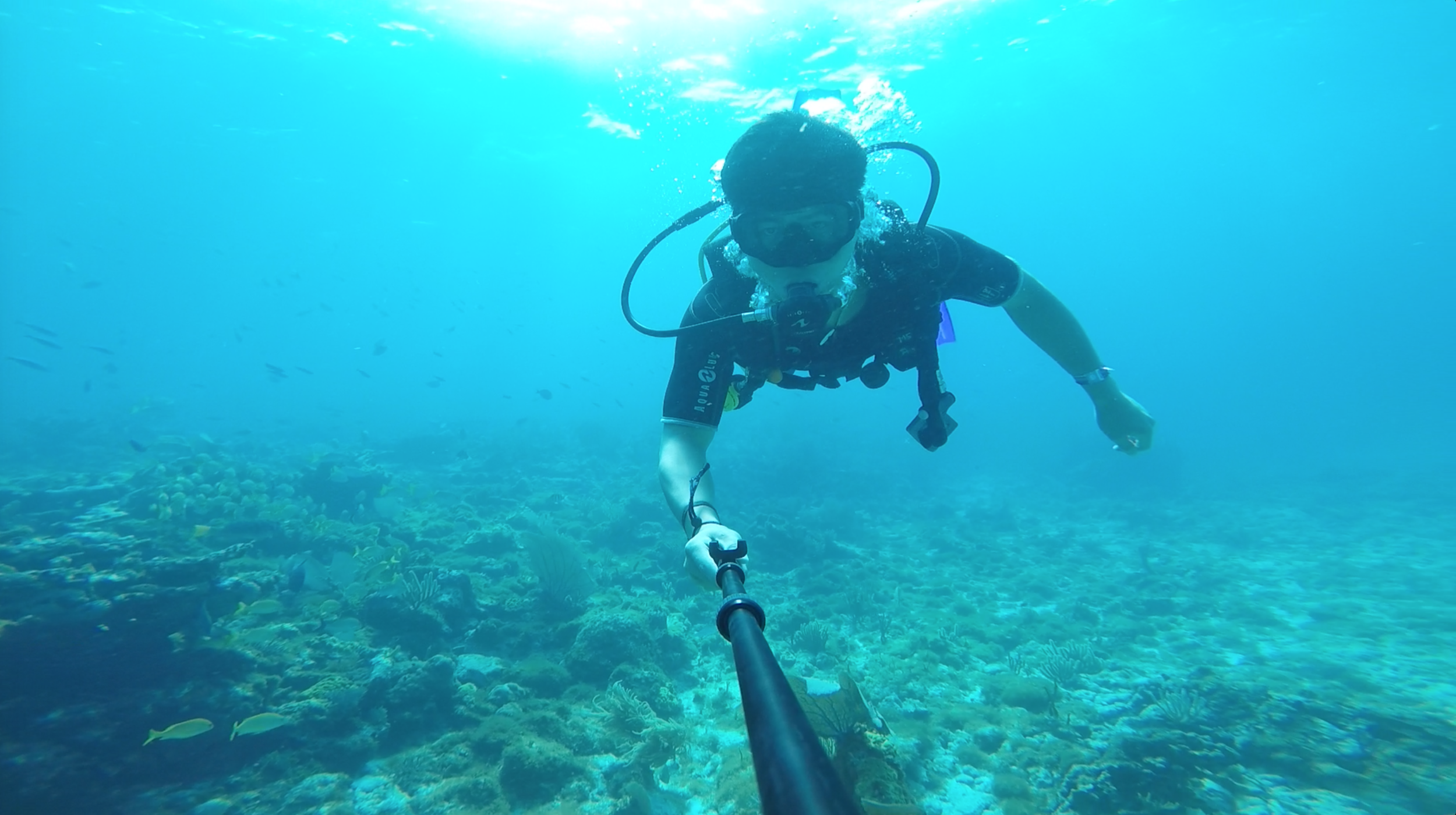 Screen Shot 2015-03-26 at 12.54.09 PM.png