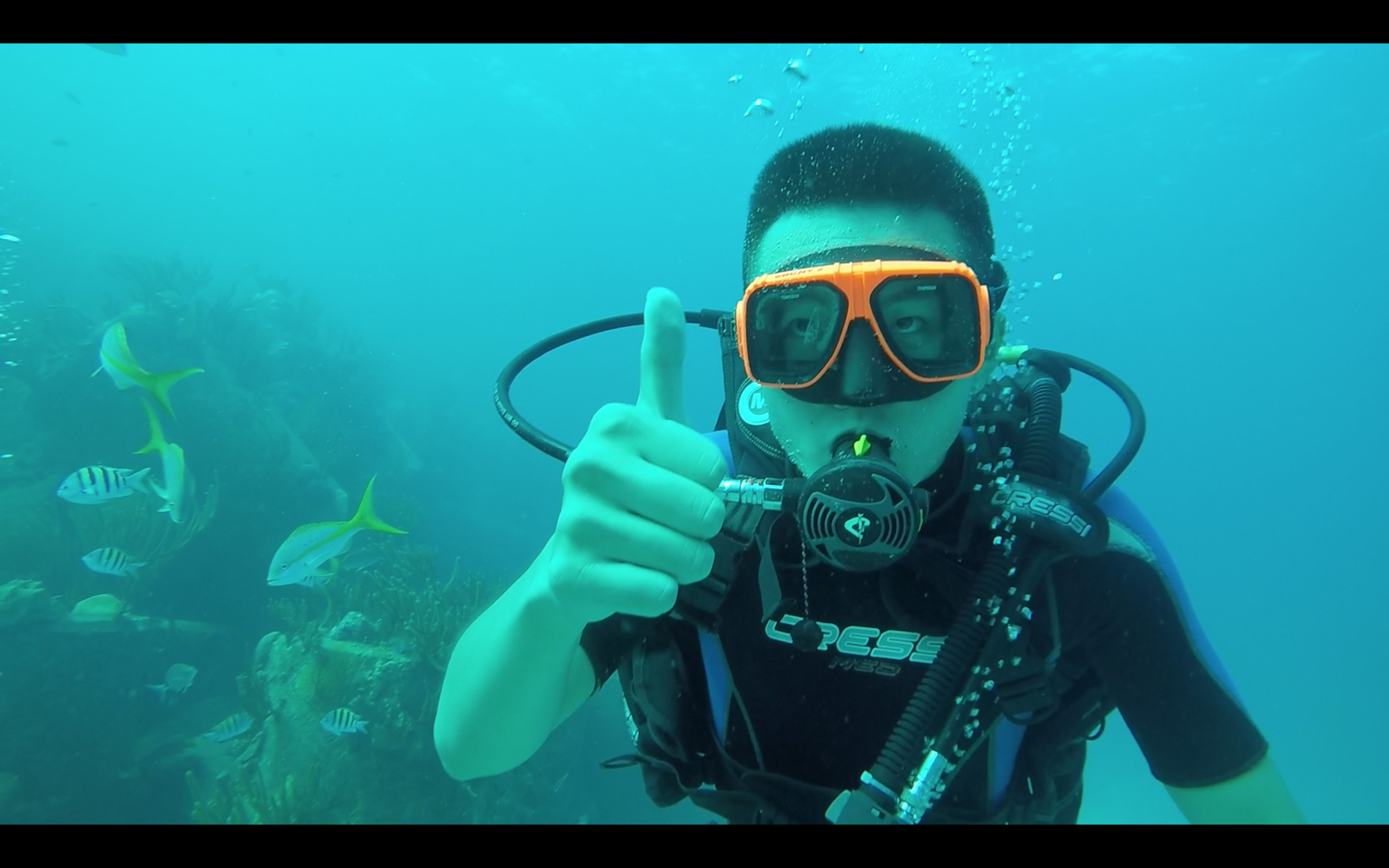 Screen Shot 2015-12-18 at 5.58.09 PM.png