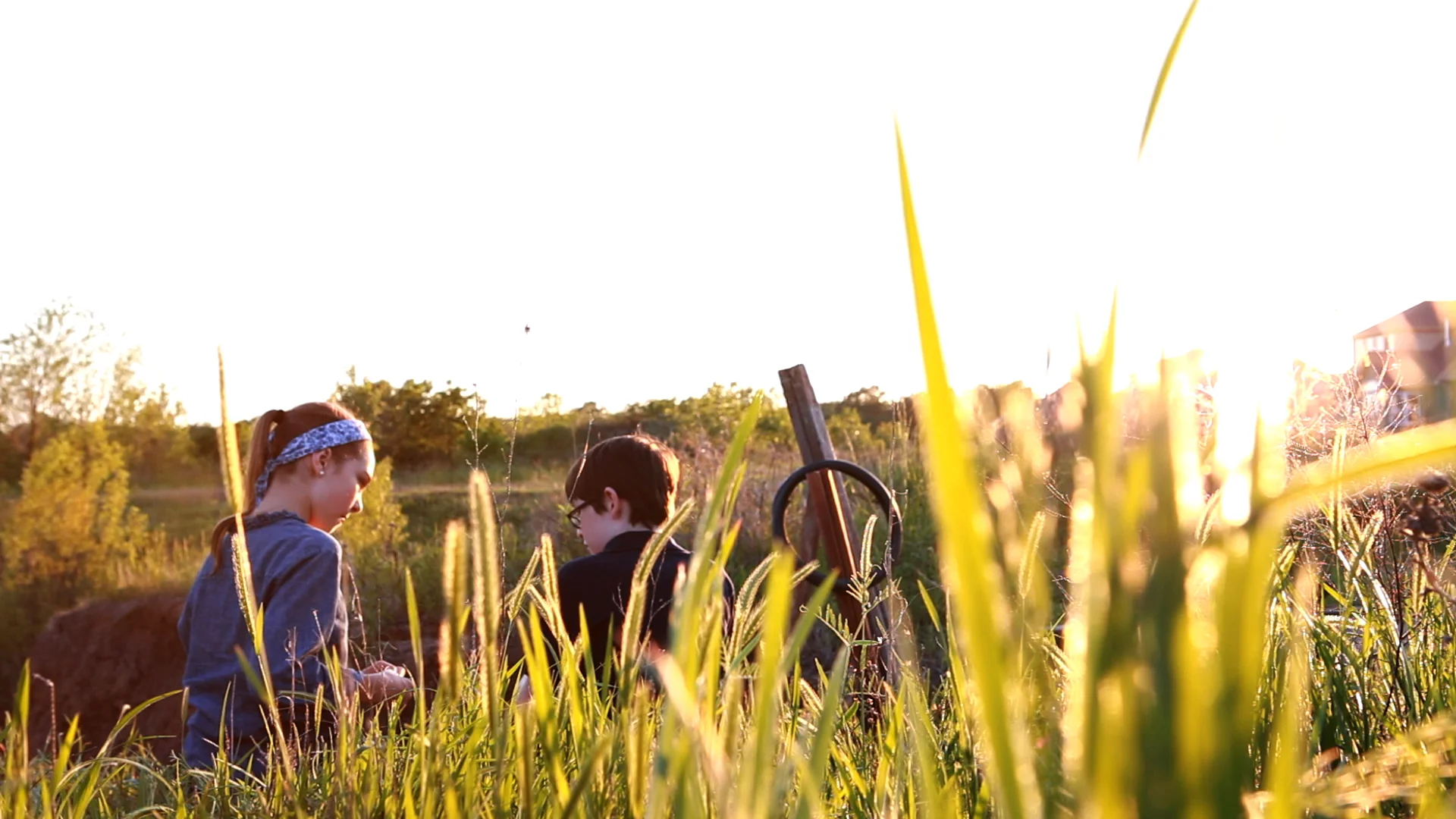 SanDisk thumbnail.jpg