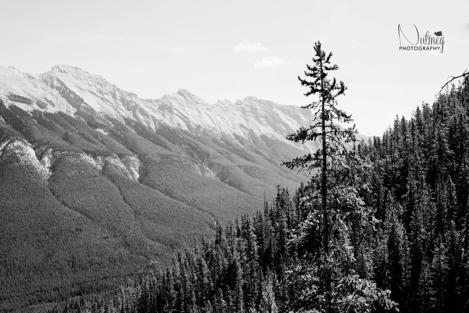 Edmonton Travel Photography | The Rockies