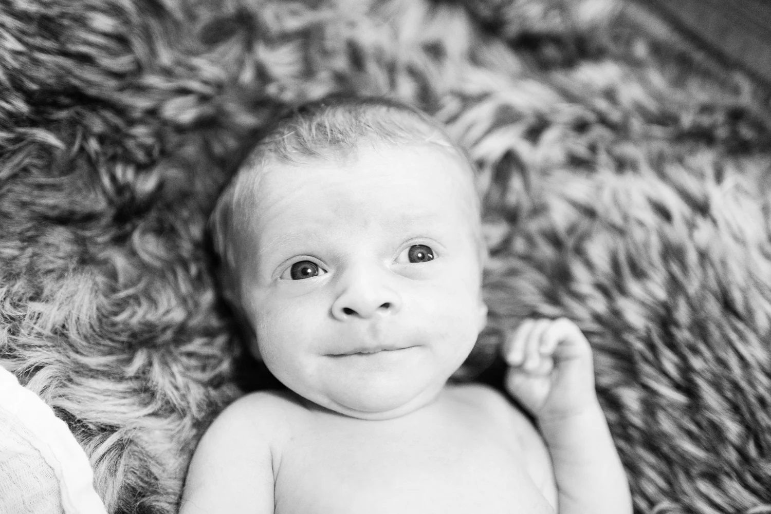 Edmonton Newborn Photography | Xander 