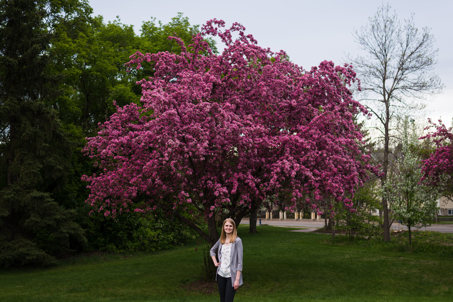 Edmonton Outdoor Headshot Photography | Edmonton Cherry Blossom Session | Aliesha