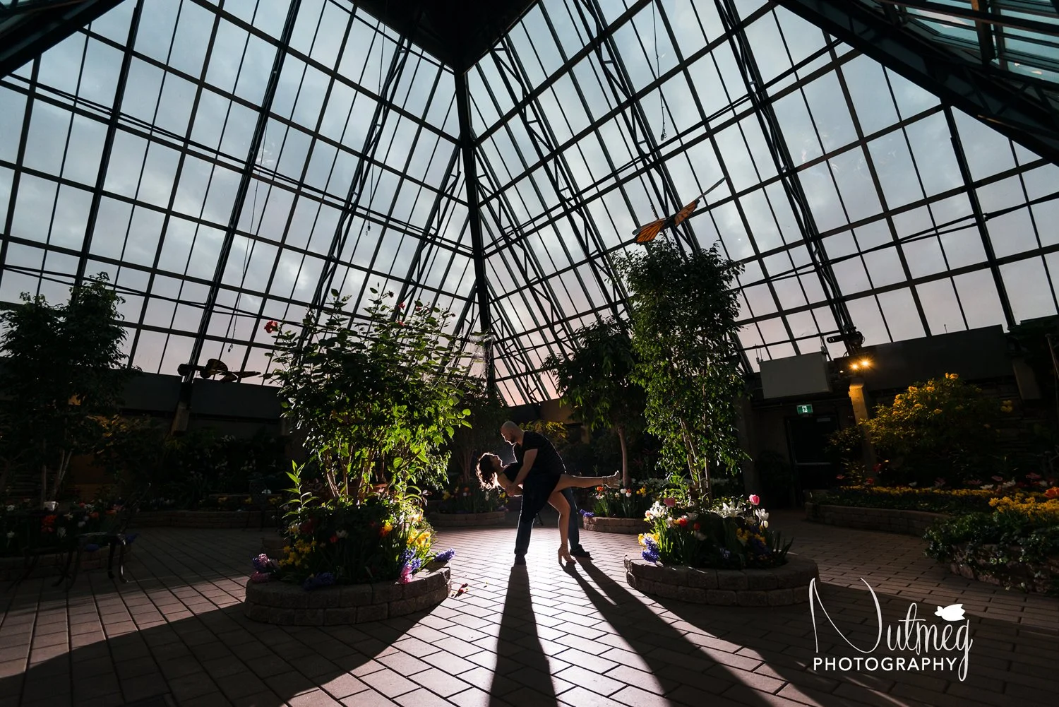 Edmonton Engagement Photographer | Edmonton Muttart Conservatory Engagement 