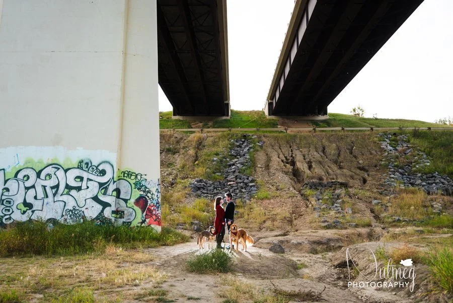 Devon Engagement Photographer | Prospectors Point Engagement Session