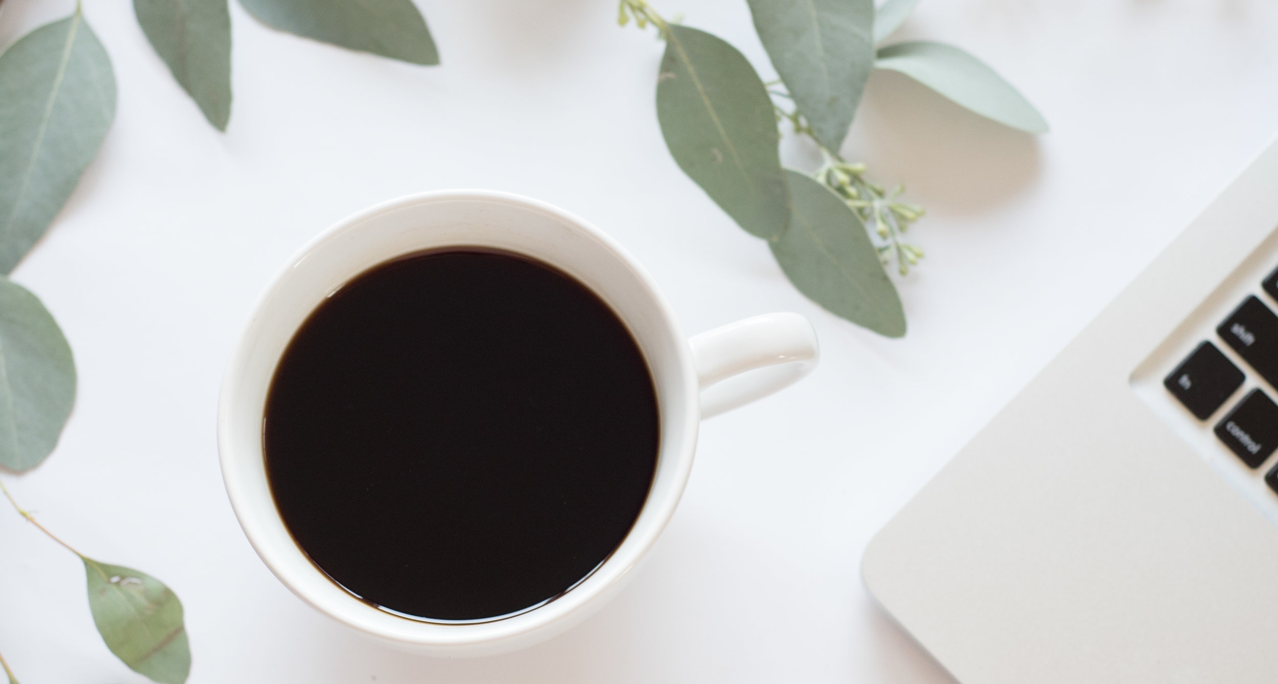 twigy's blogger bundle - full size images-9.jpg