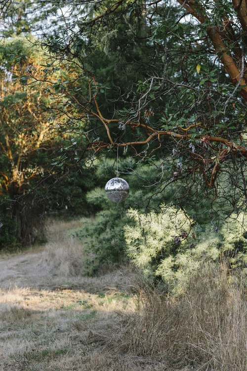 madrone+disco-002.jpg