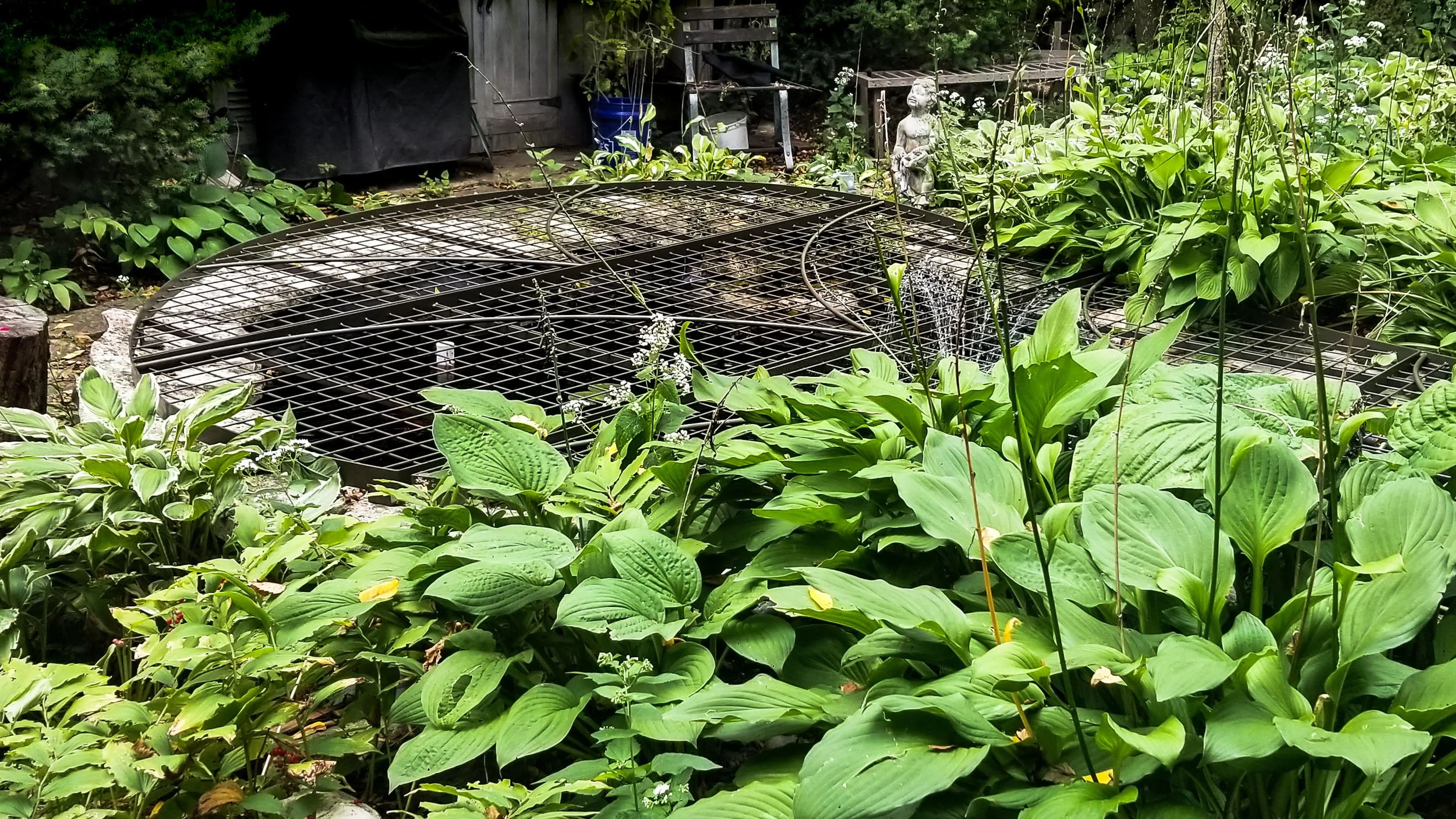 pond-cover (1 of 1)-2.JPG