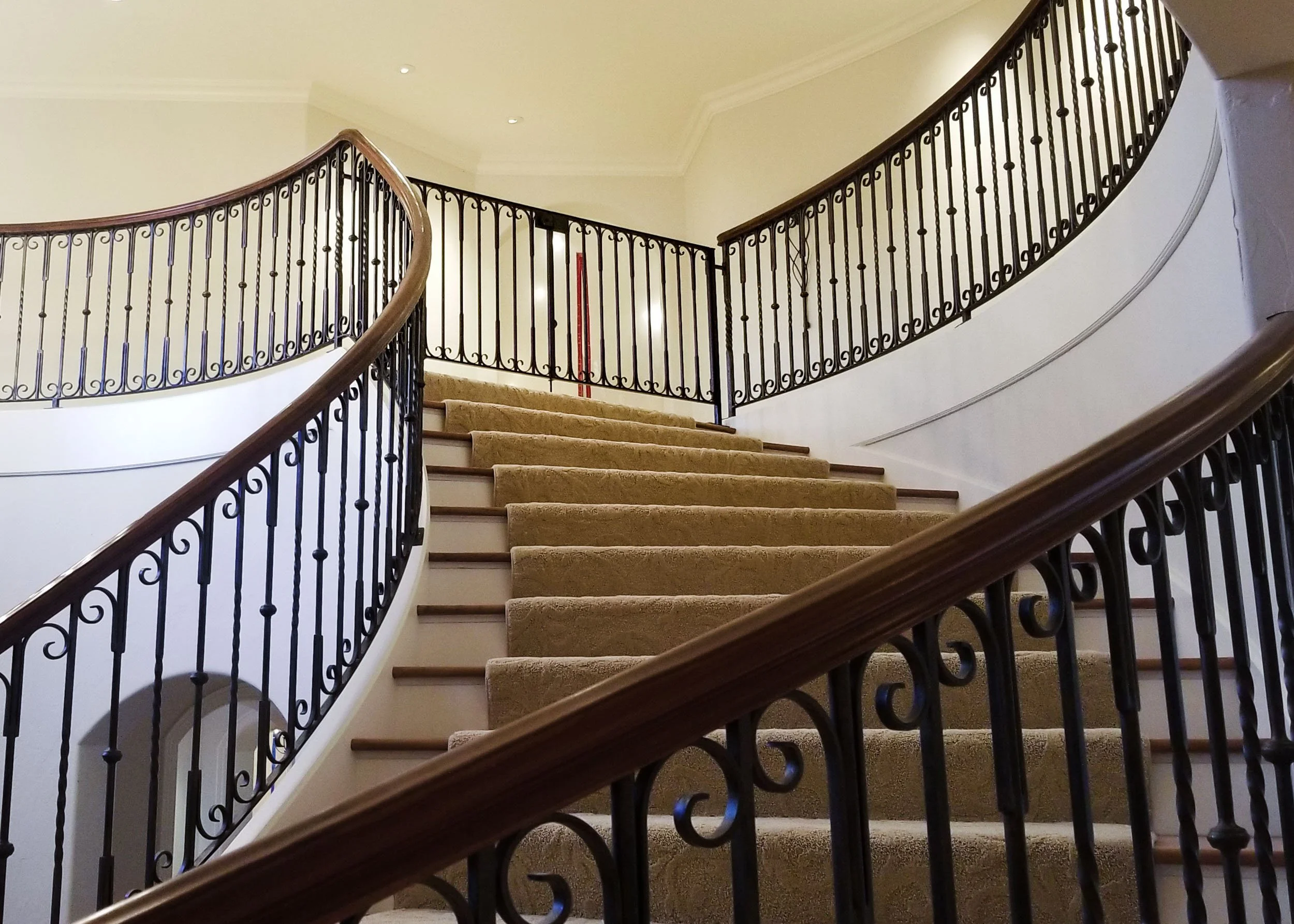 carlito (1 of 1).JPG