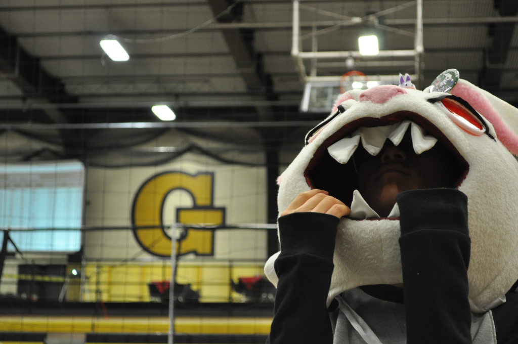 DSC_0080-1024x680.png