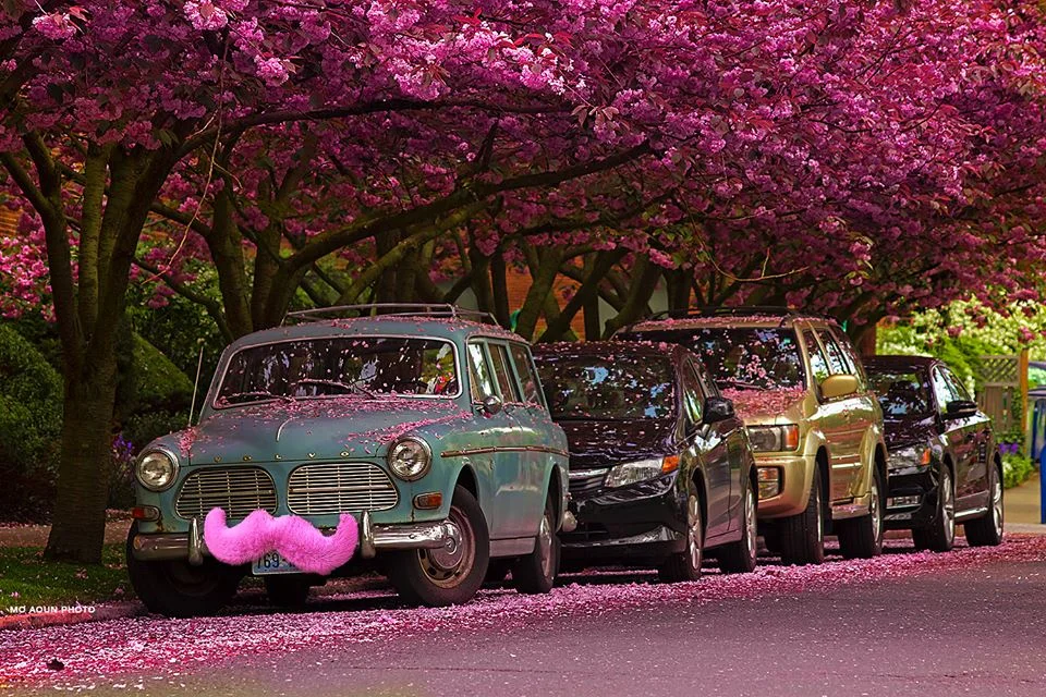 24 Things Every Driver Should Know