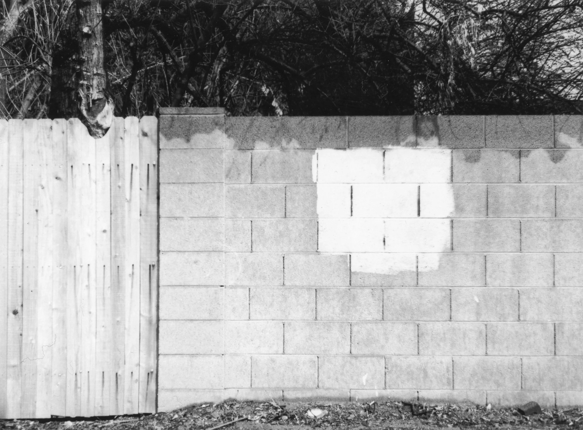 8x10 B/W, Gelatin Silver Print, Fiber Paper