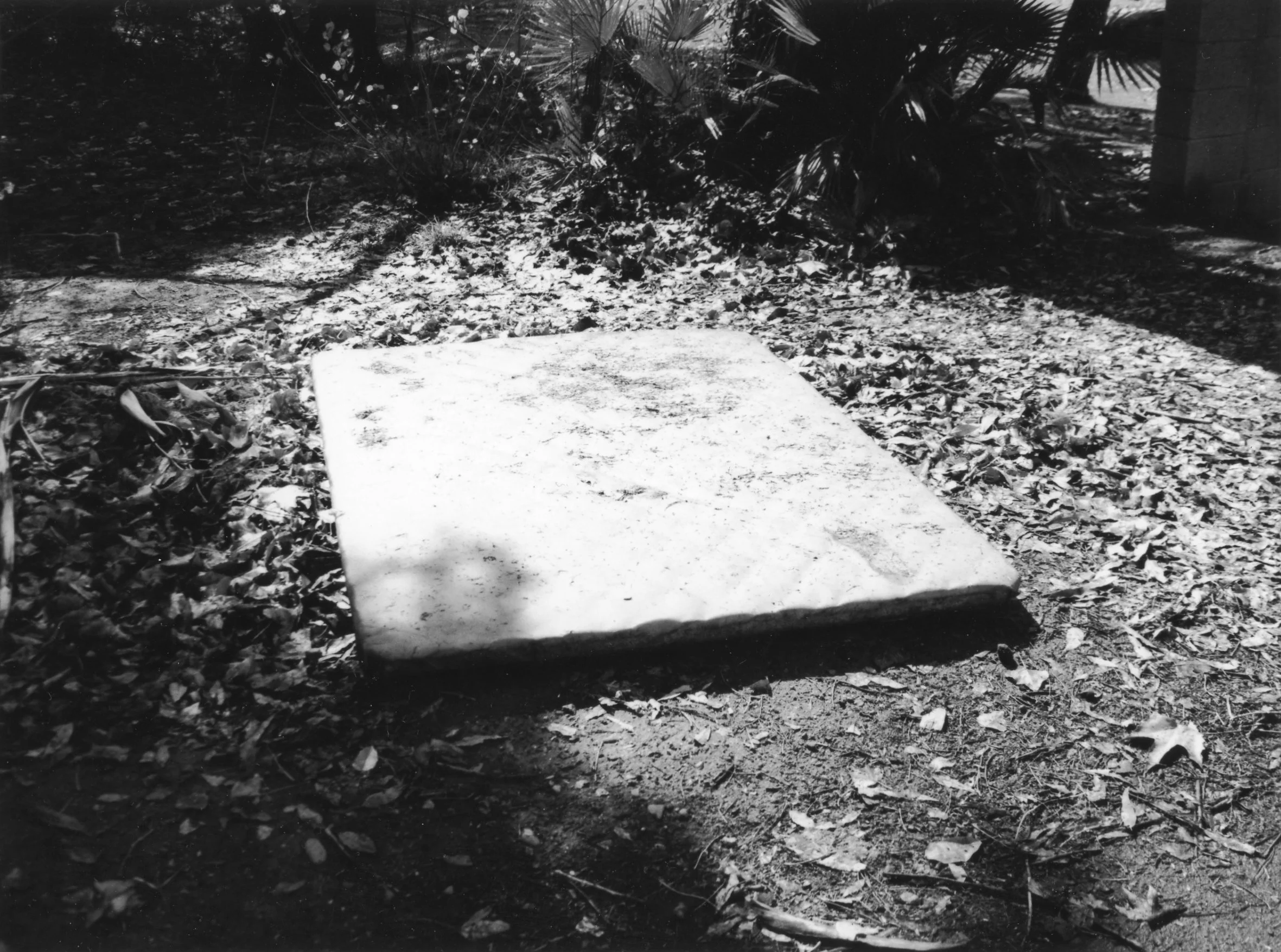 8x10 B/W, Gelatin Silver Print, Fiber Paper