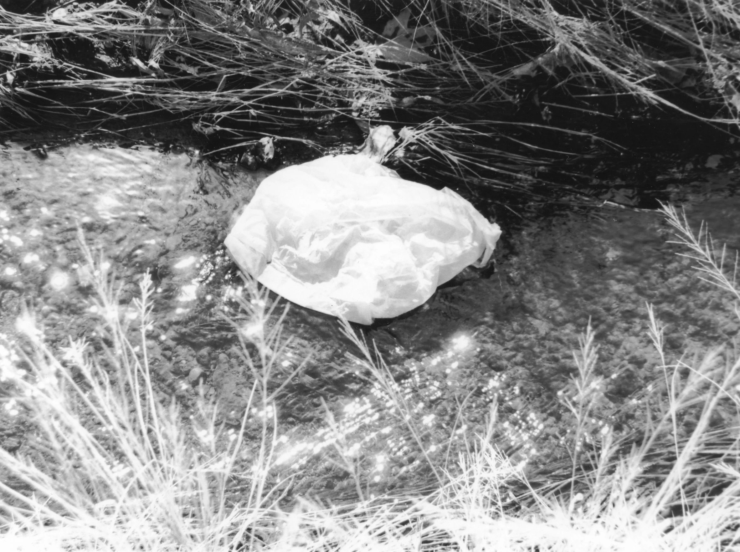 8x10 B/W, Gelatin Silver Print, Fiber Paper