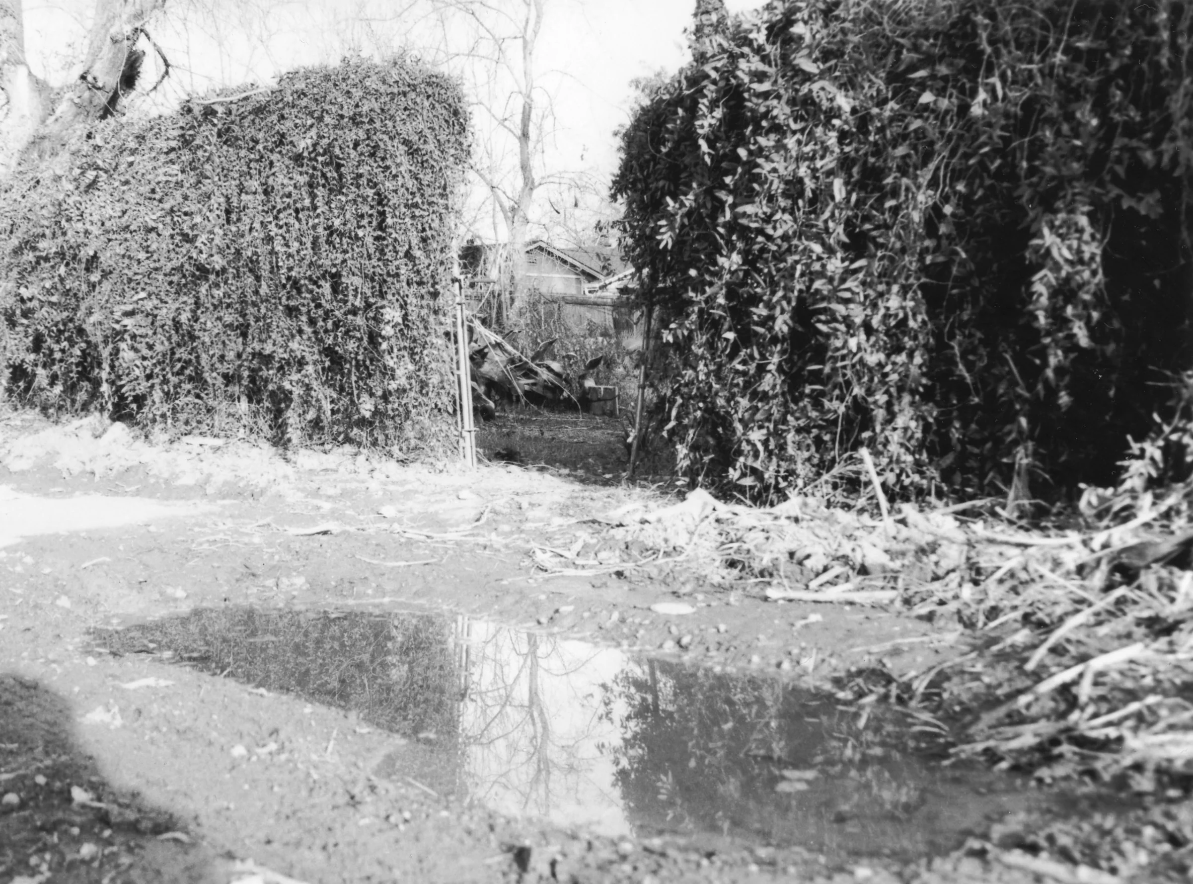 8x10 B/W, Gelatin Silver Print, Fiber Paper