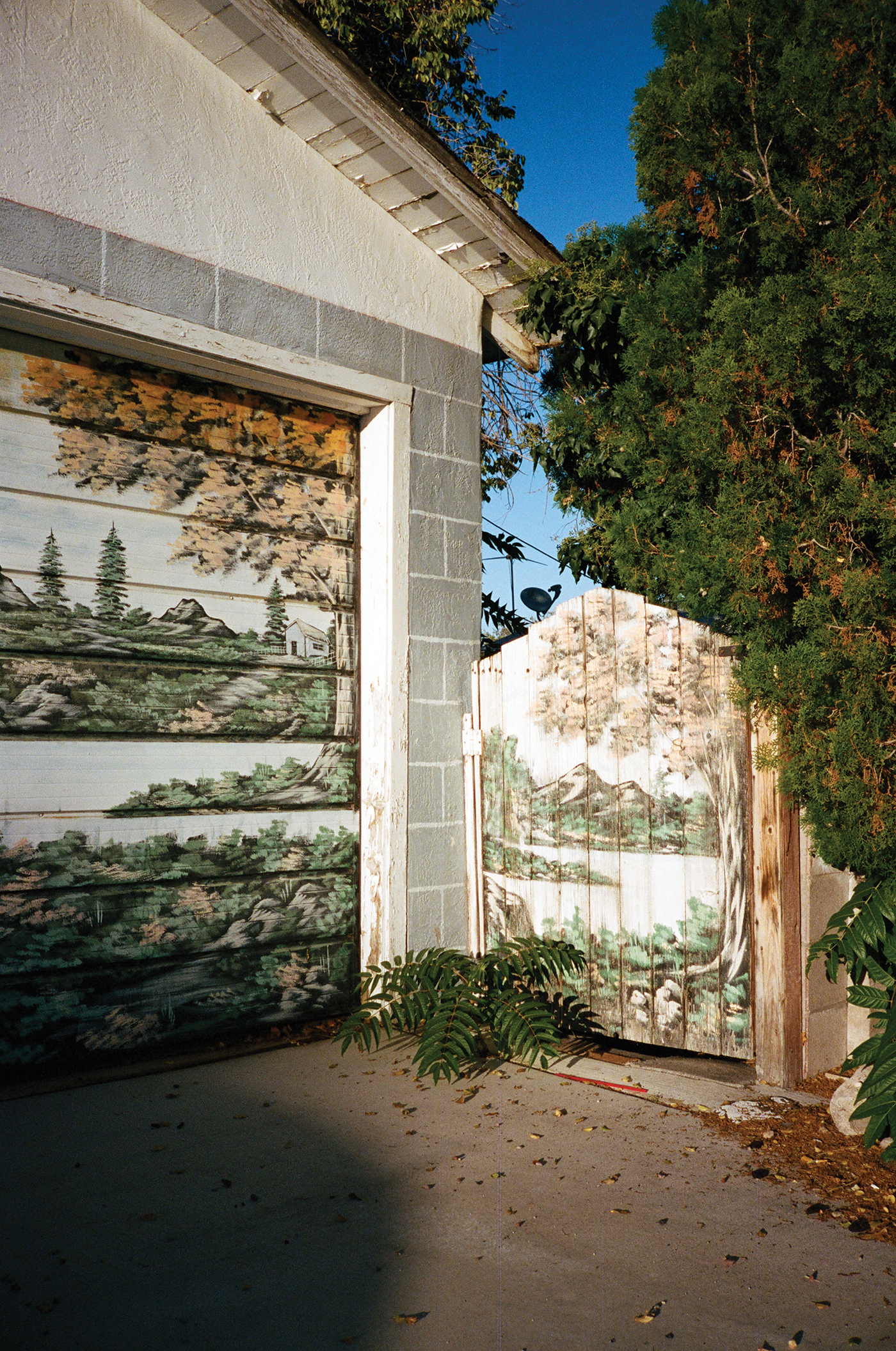AT001.jpg
