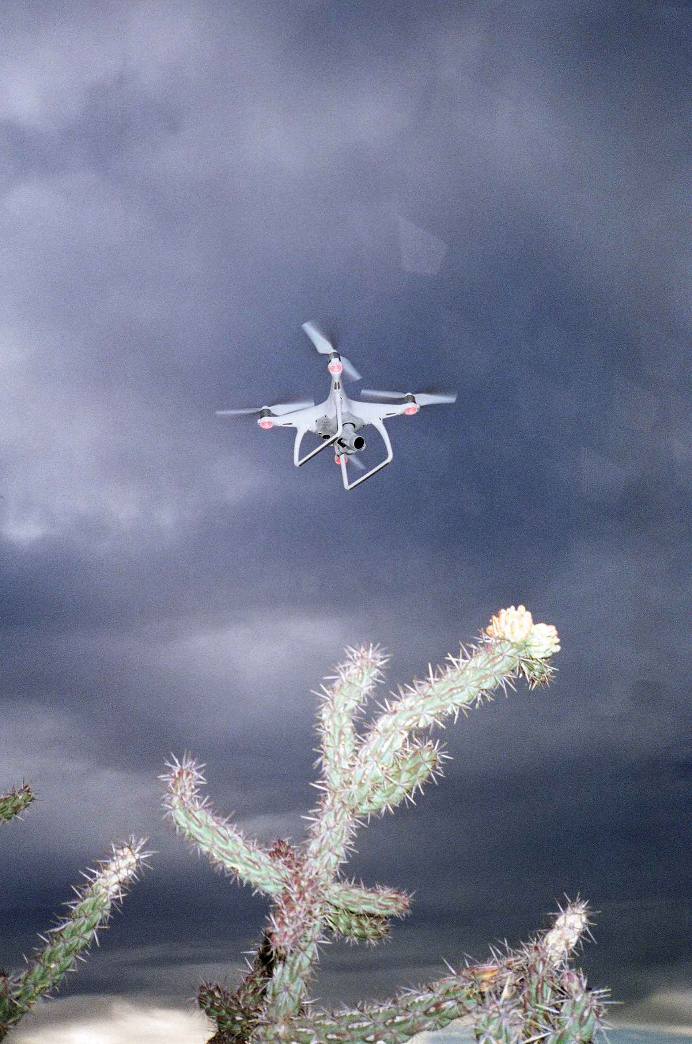 AT012.jpg